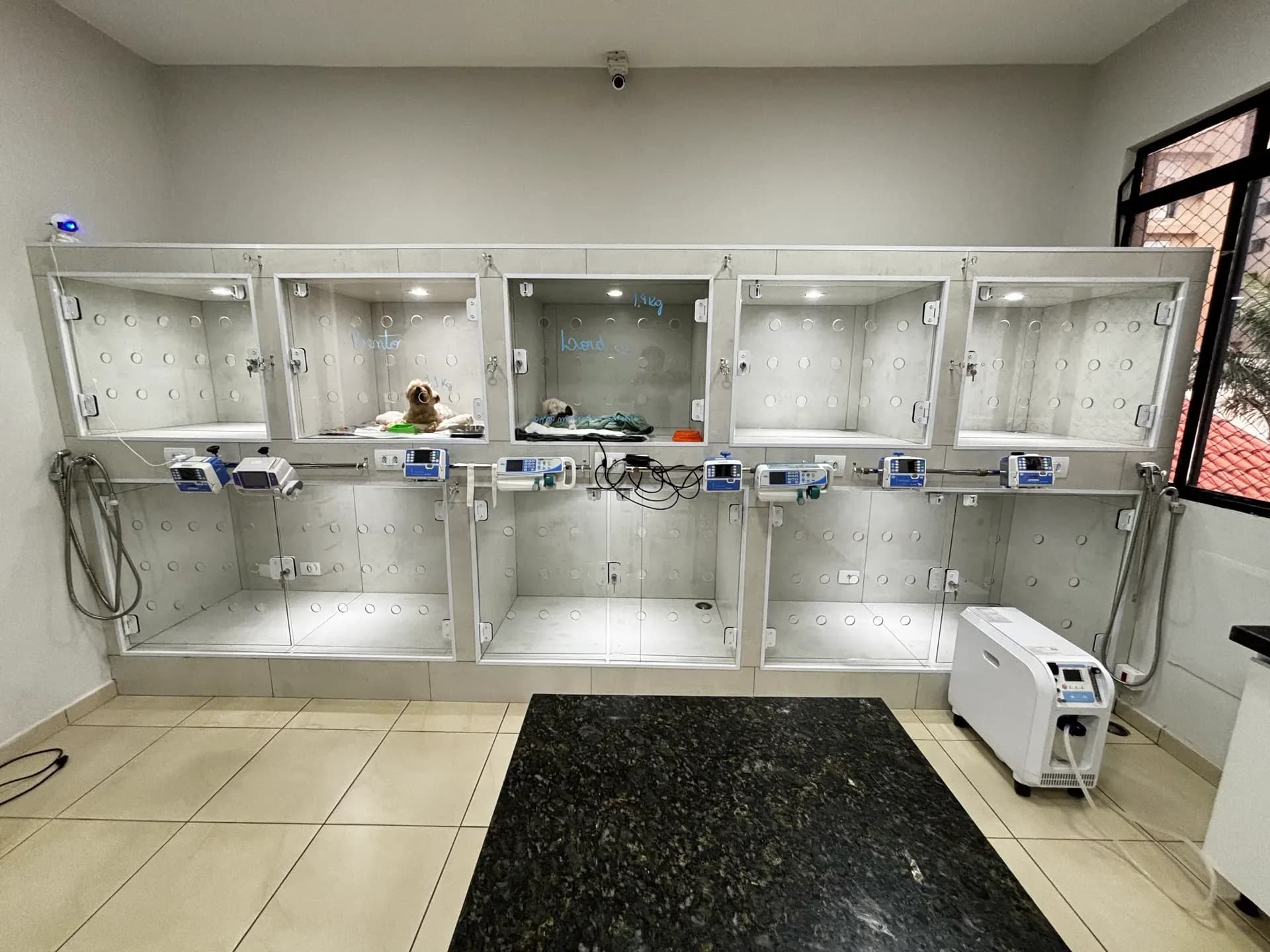 Baias individuais de internação veterinária na VetôPet, Maringá