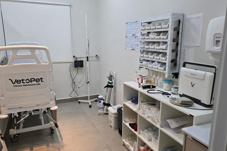 Atendimento emergencial veterinário 24h