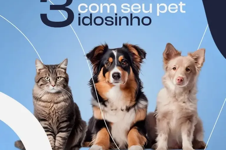 Imagem migrada do WordPress: pet idoso cuidados clinica veterinaria 24h vetopet.webp