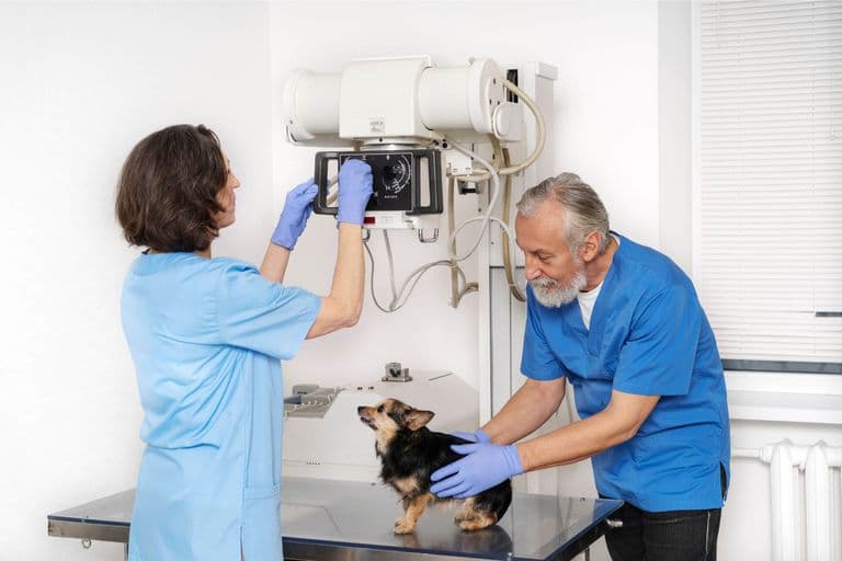Imagem migrada do WordPress: veto 4.jpg