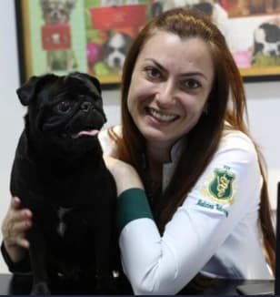 Dra. Paula Mazarin, neurologia na VetôPet em Maringá