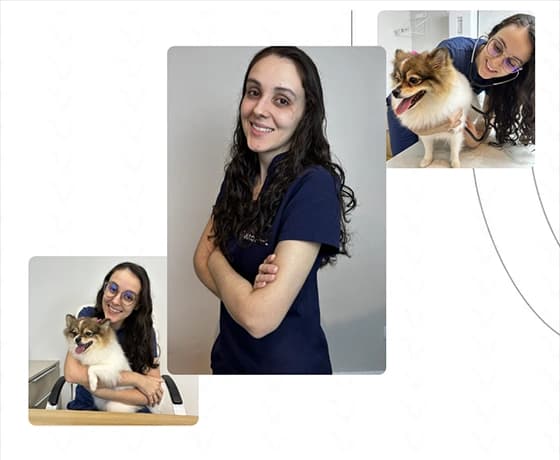 Por que o nome VetôPet - Clínica Veterinária 24h em Maringá