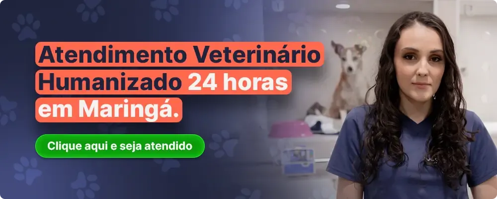 Imagem migrada do WordPress: Atendimento Veterinario 24h em Maringa VetoPet 1.webp
