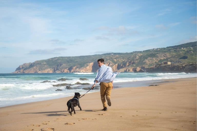 Imagem migrada do WordPress: pet na praia.jpg