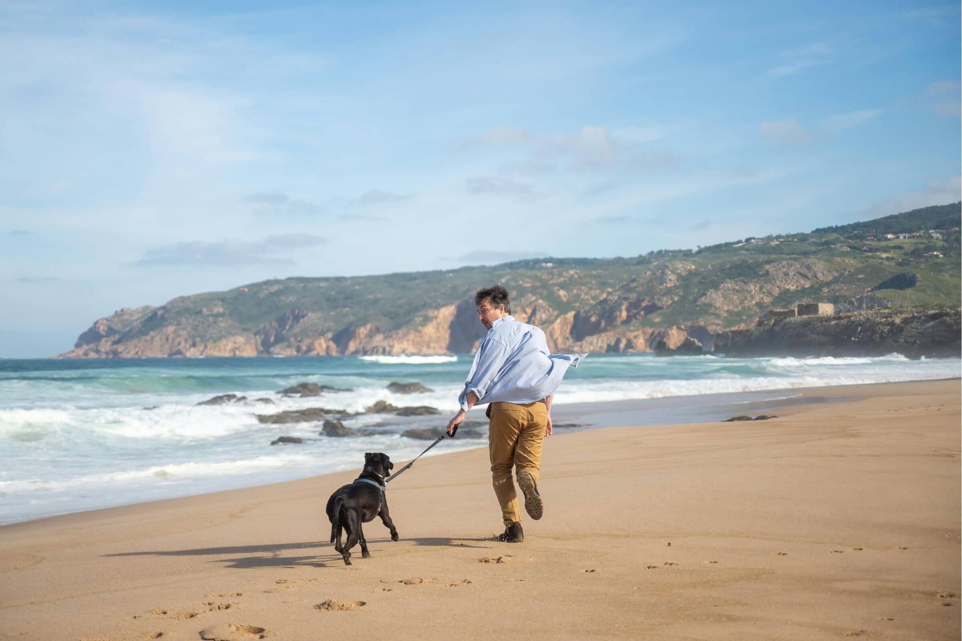 Imagem migrada do WordPress: pet na praia.jpg