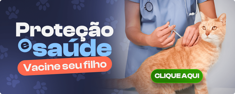 Imagem migrada do WordPress: Gato VetoPet veterinario 24h em Maringa 1.png