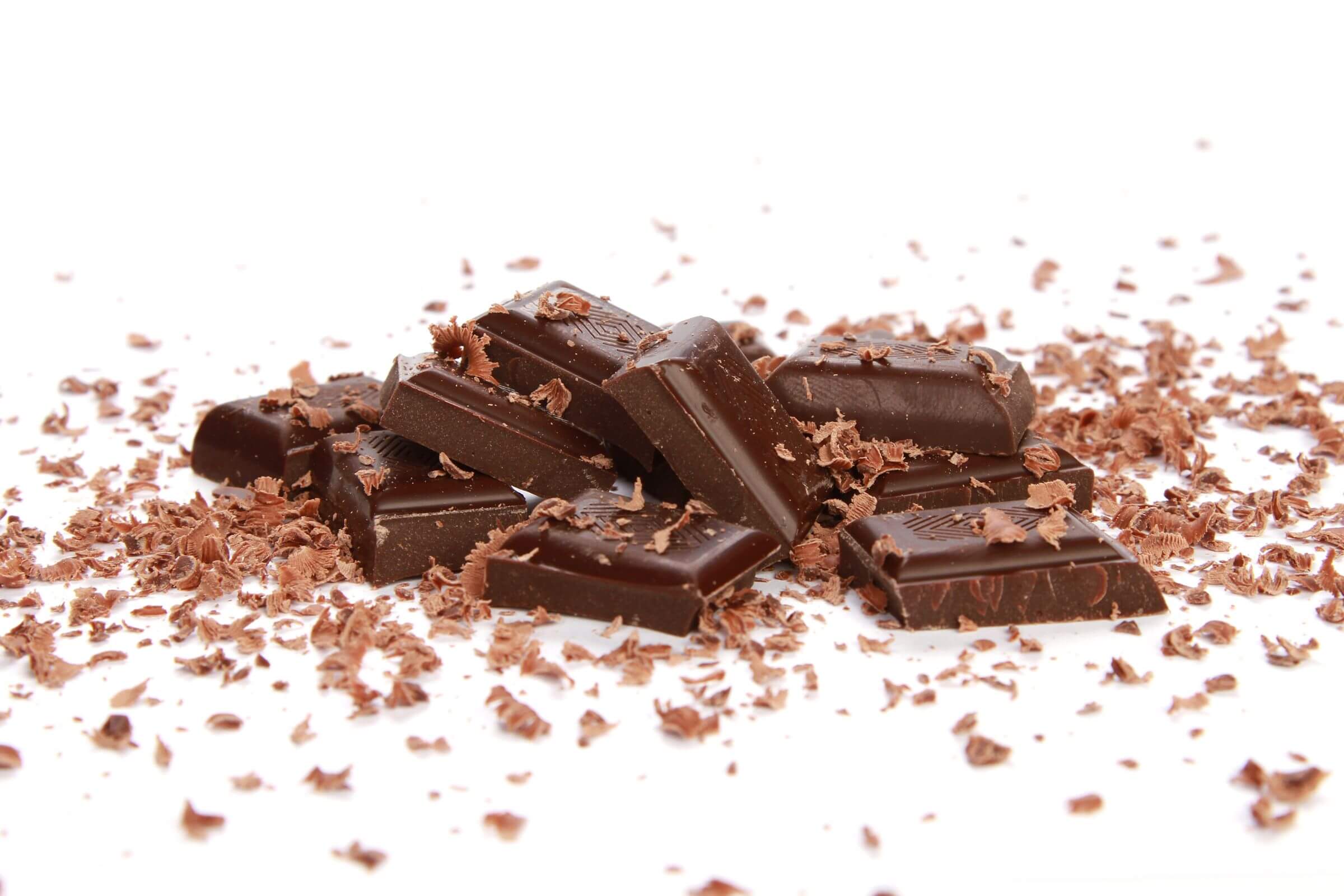 Chocolate para Cachorro: Quais os Riscos? clínica veterinária 24h