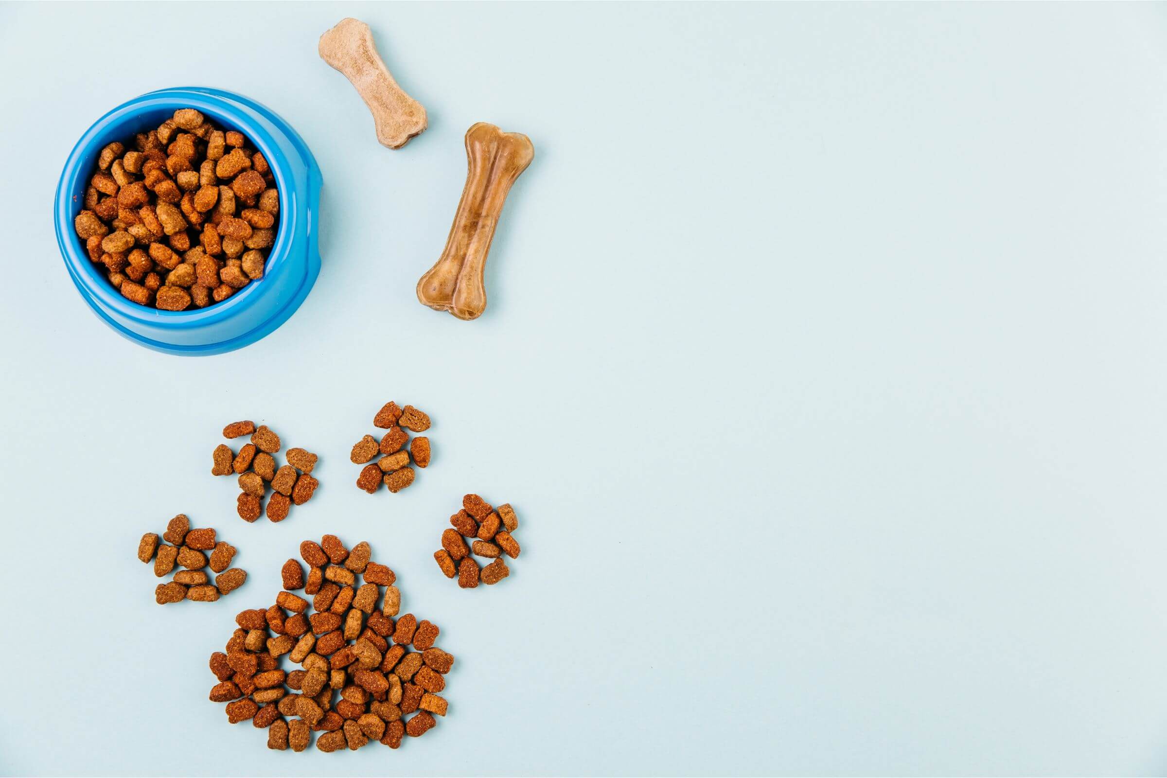 Alimentação para pets com doença cardíaca, clínica veterinária 24h