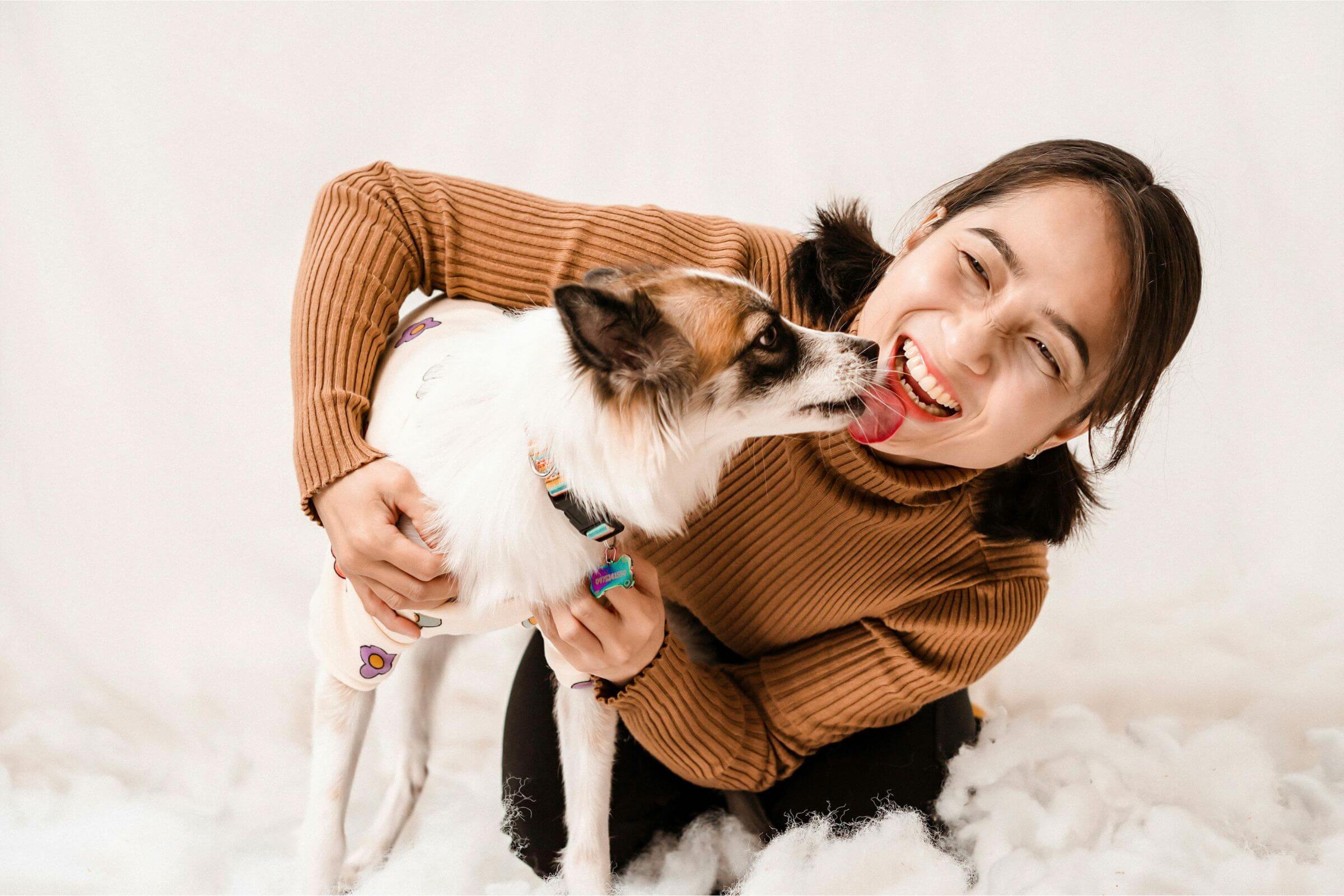 Como o pet demonstra amor pelo tutor? clínica veterinária 24h