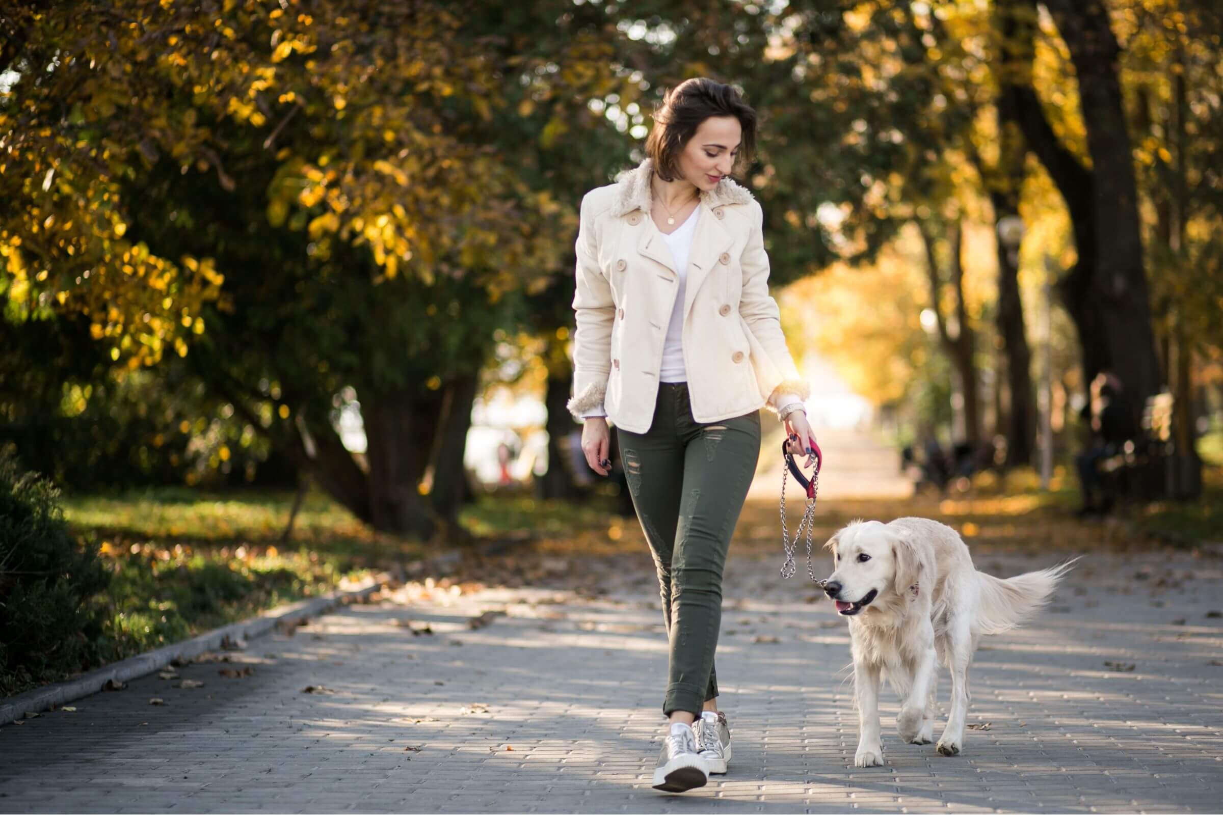 Posso sair para passear com cachorro cardíaco? clínica veterinária 24h
