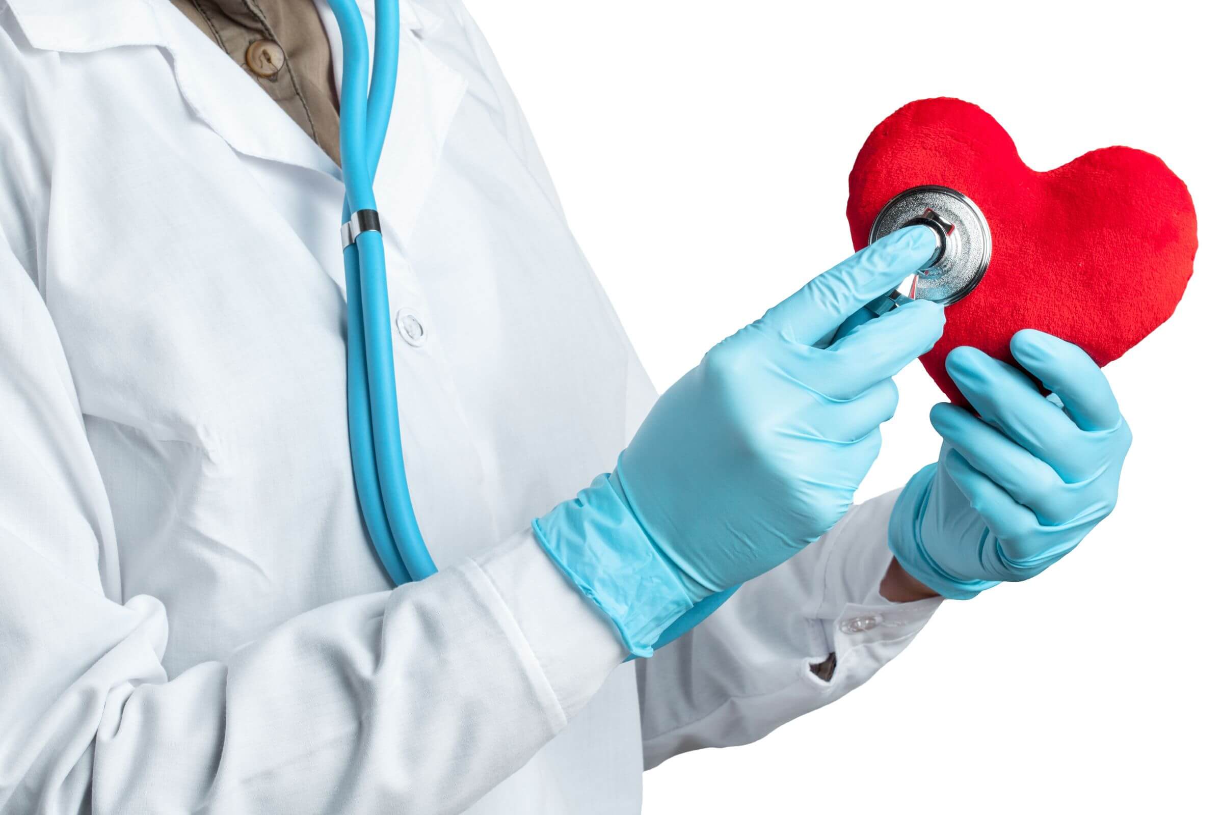 Quais exames meu pet cardíaco deve fazer regularmente? clínica veterinária 24h