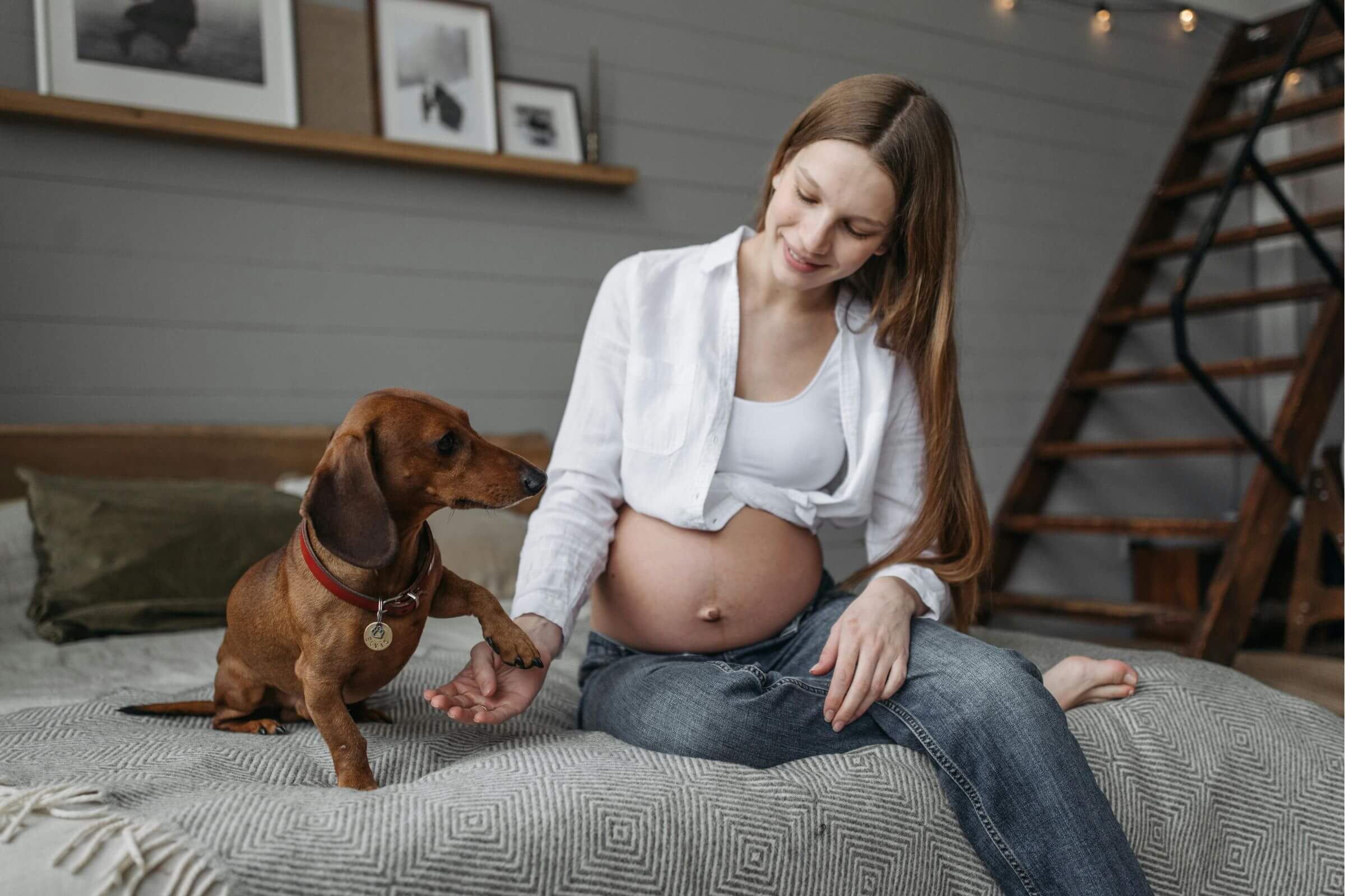 Como preparar o pet para a chegada de um bebê, clínica veterinária 24h