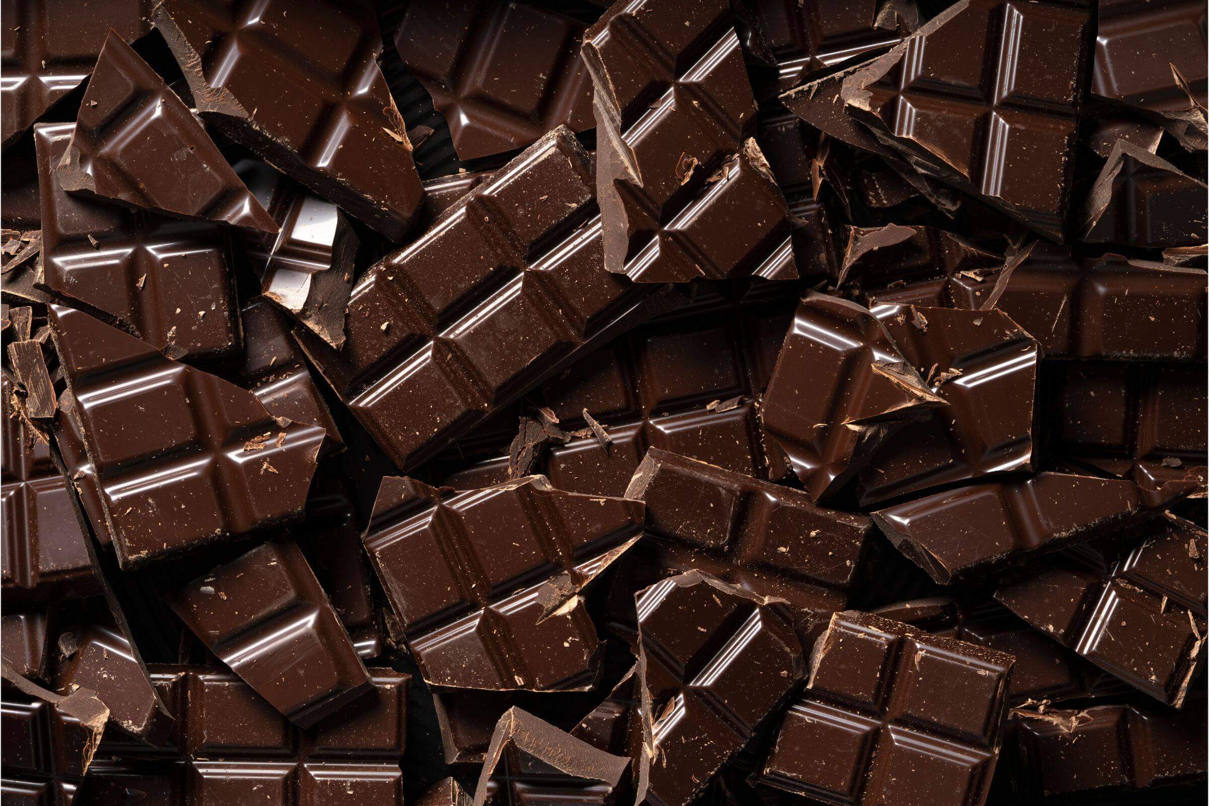 Chocolate para cachorro: quais os riscos? clínica veterinária 24h