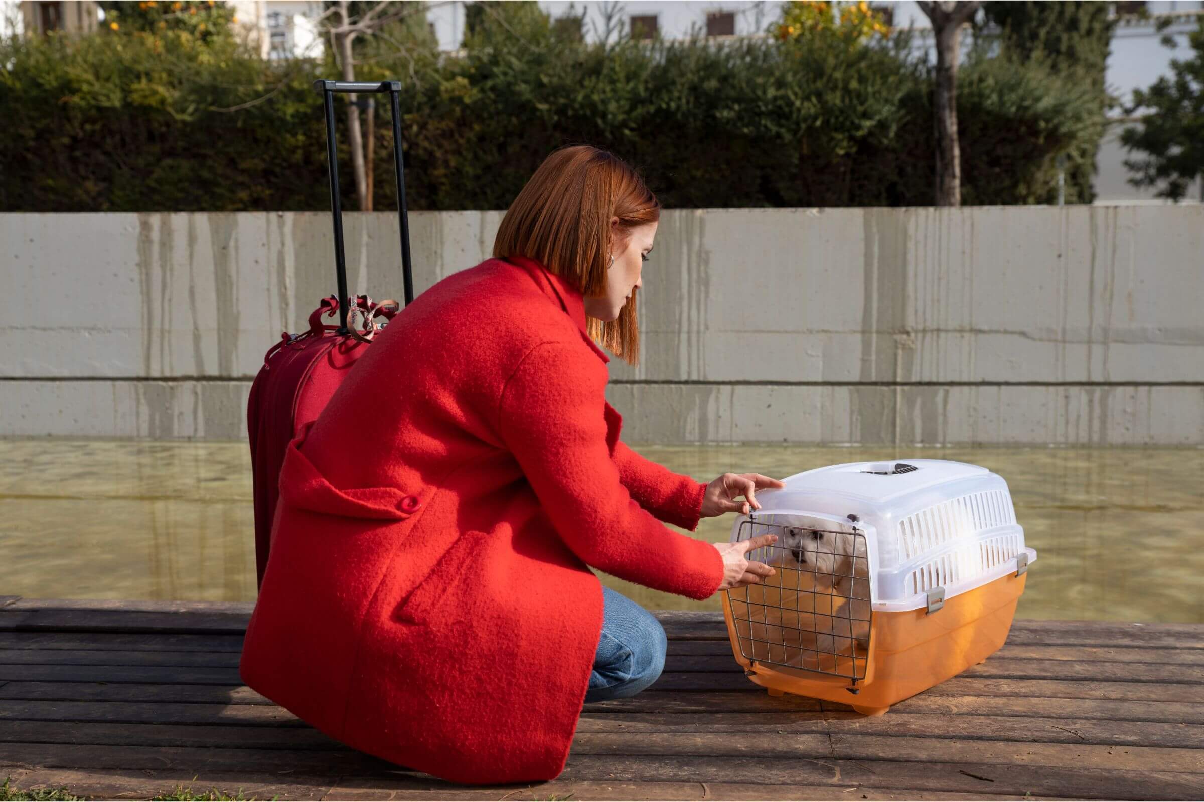 O que fazer com o pet durante as férias? clínica veterinária 24h