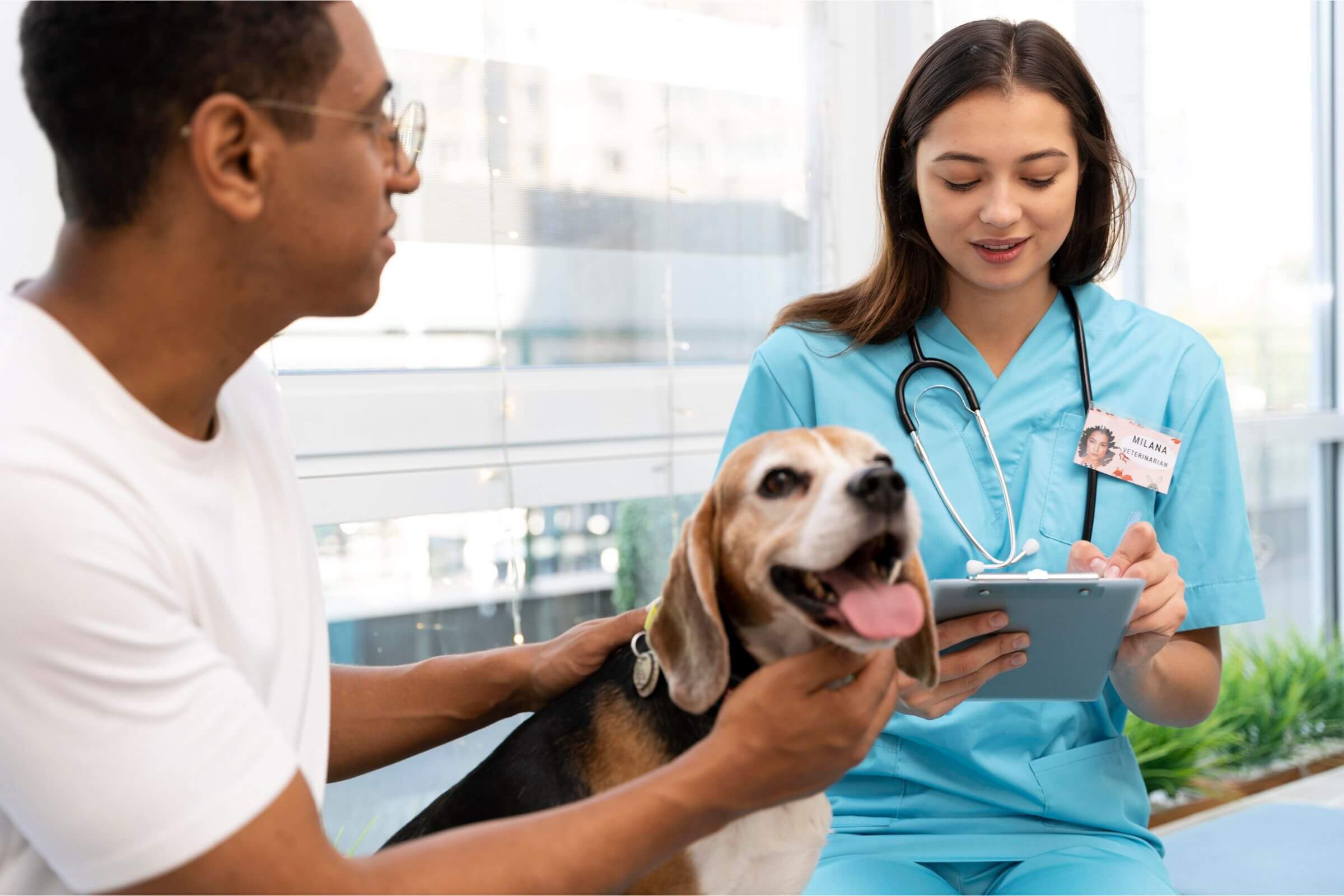 O que o pet sente ao ir ao veterinário? clínica veterinária 24h