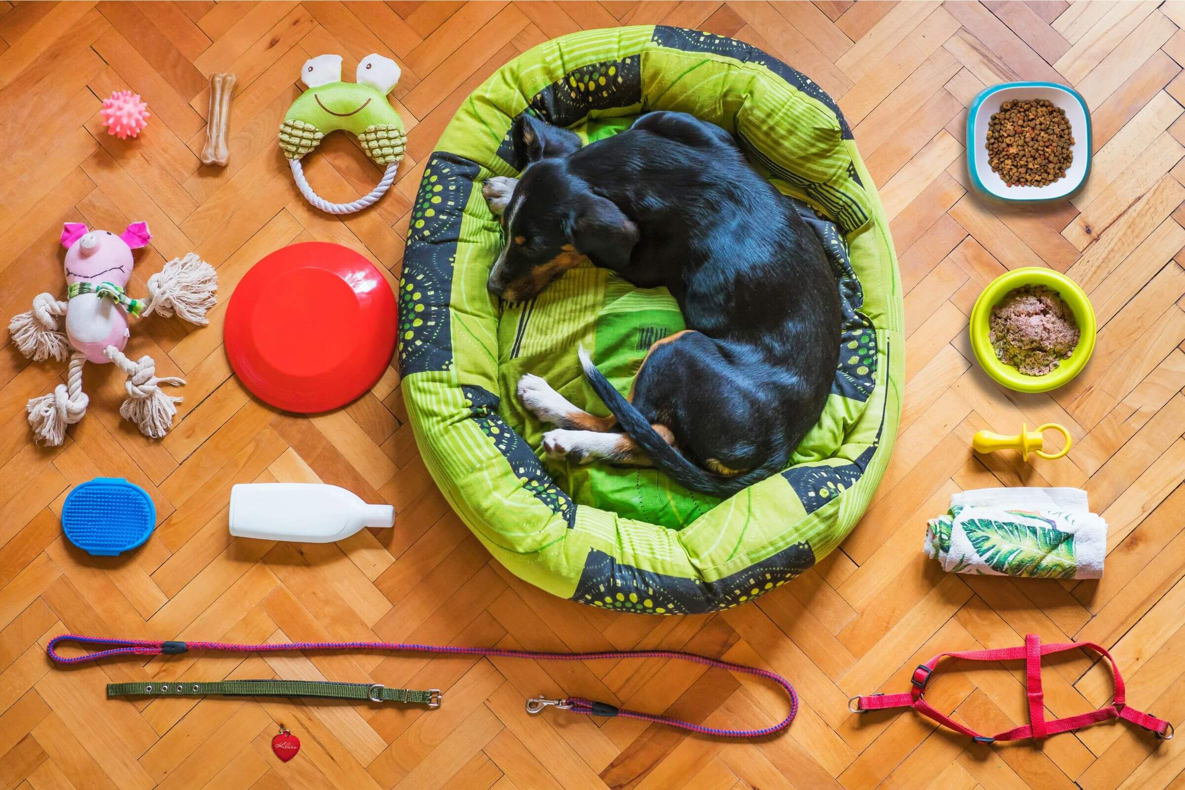 Como higienizar potes e brinquedos do pet?