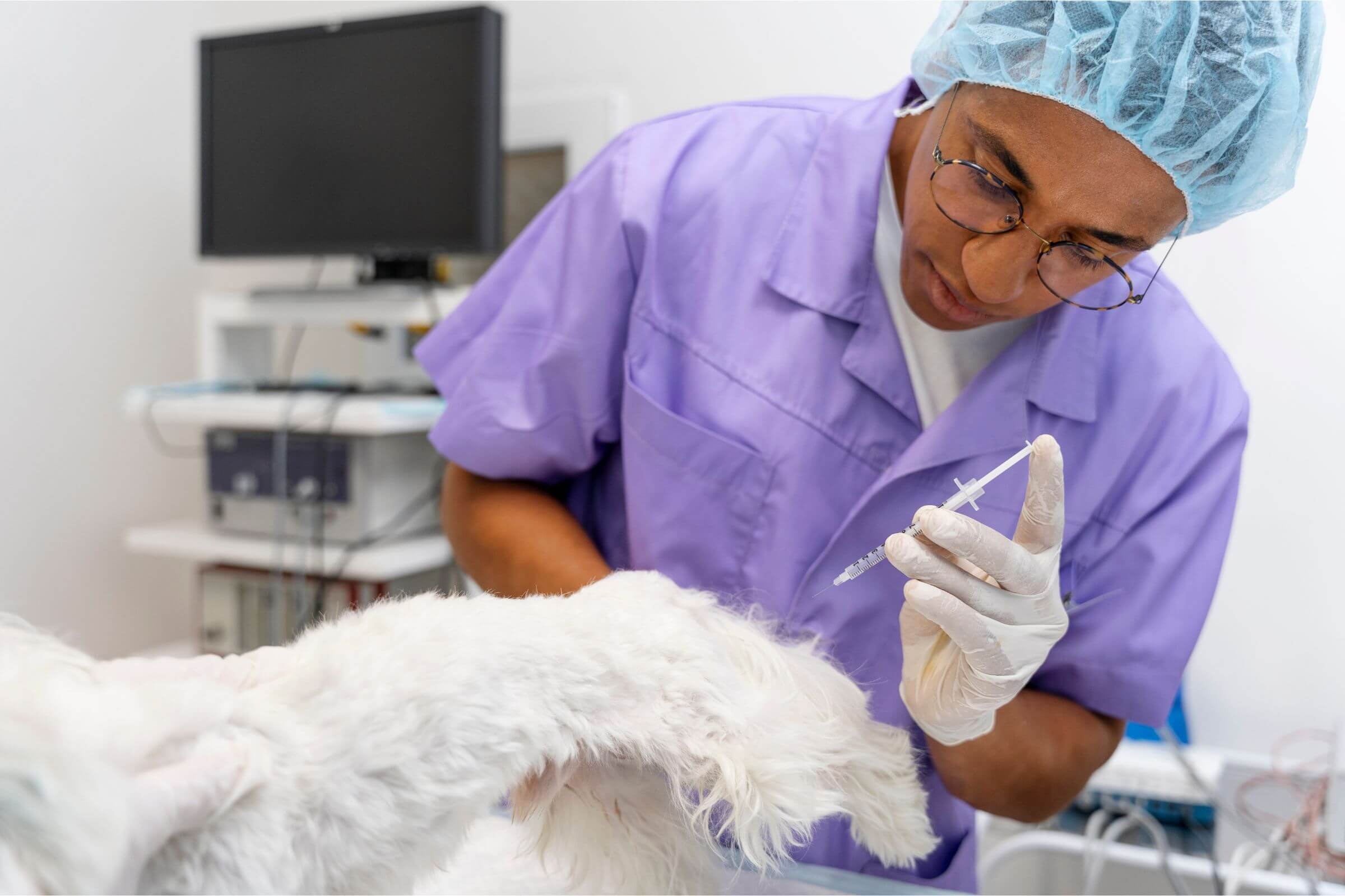 A importância do reforço anual das vacinas, clínica veterinária 24h