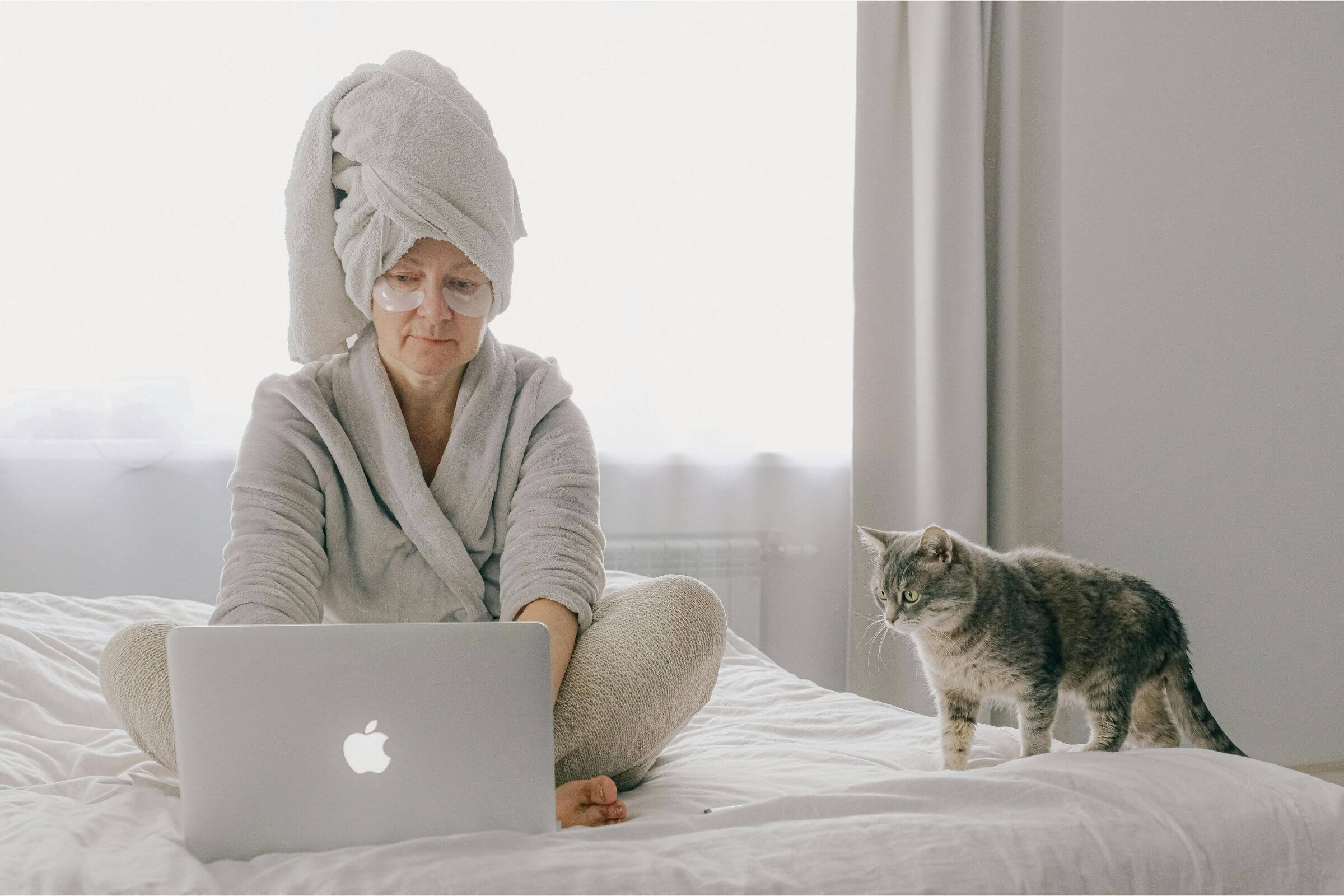 Meu pet me segue em todos os lugares: o que isso significa? clínica veterinária 24h