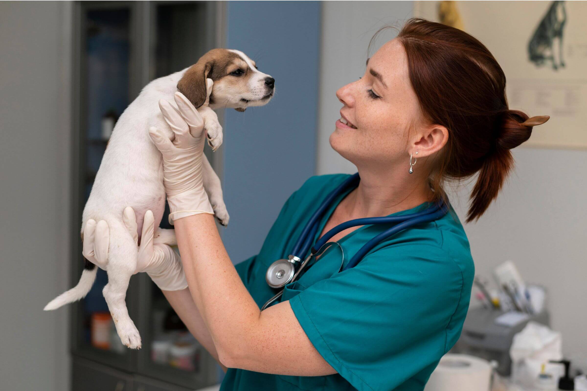 Quantas doses de vacina para cachorro filhote? clínica veterinária 24h
