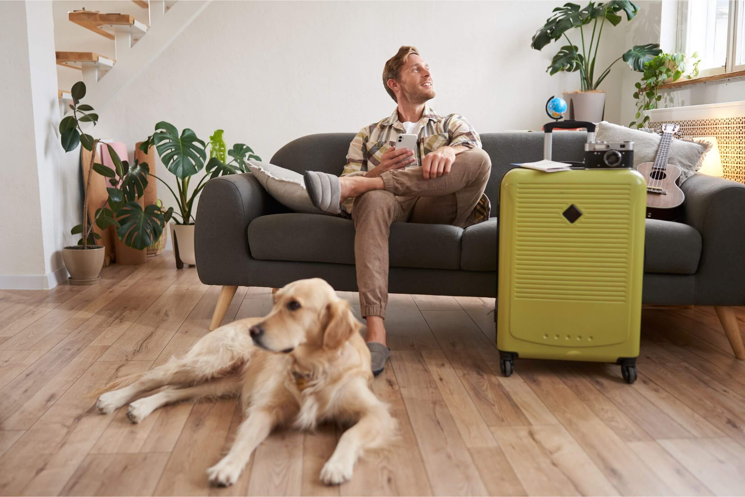 Como viajar com seu pet de forma segura