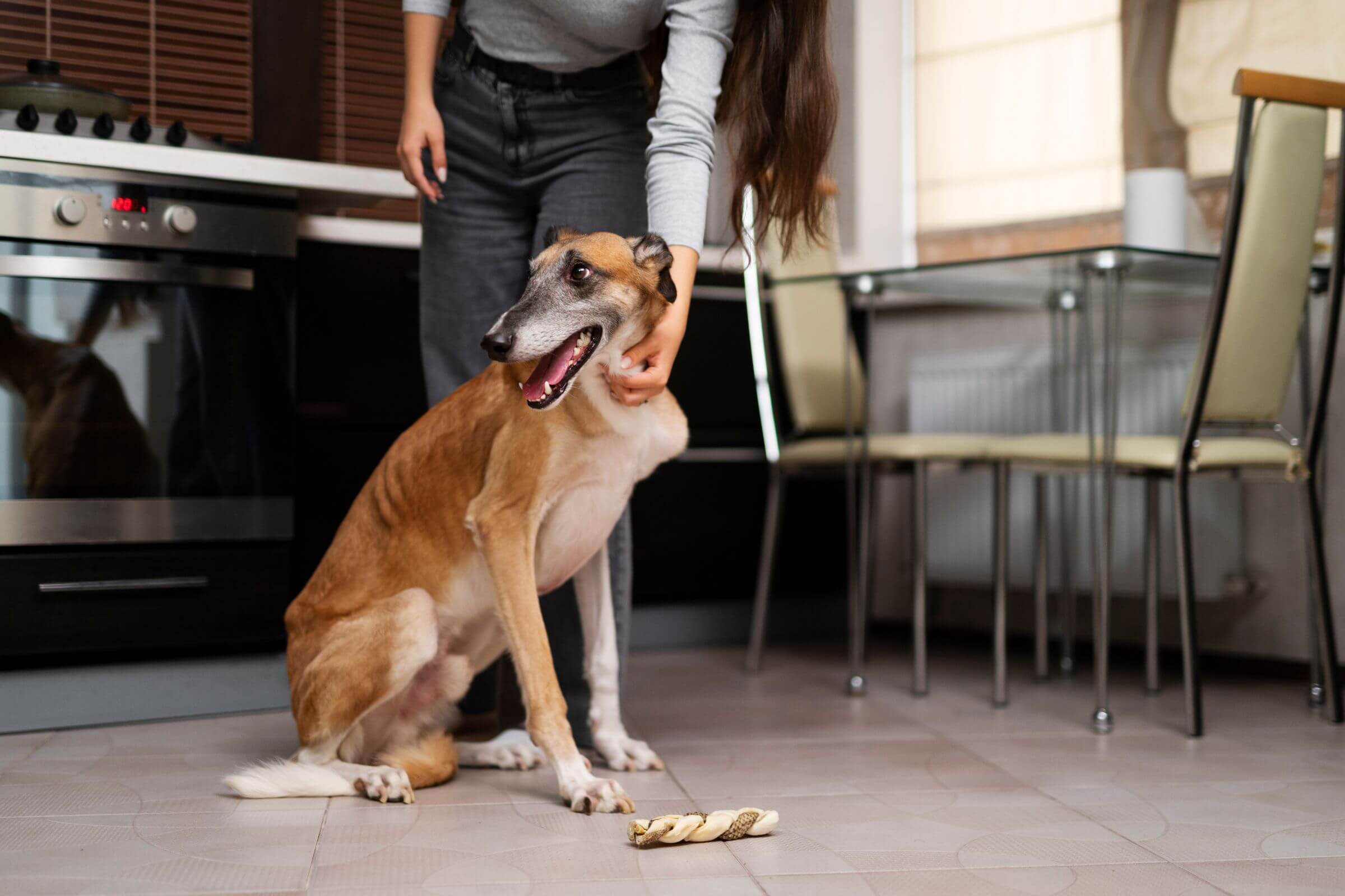 Por que meu cachorro está arrastando o bumbum no chão? clínica veterinária 24h