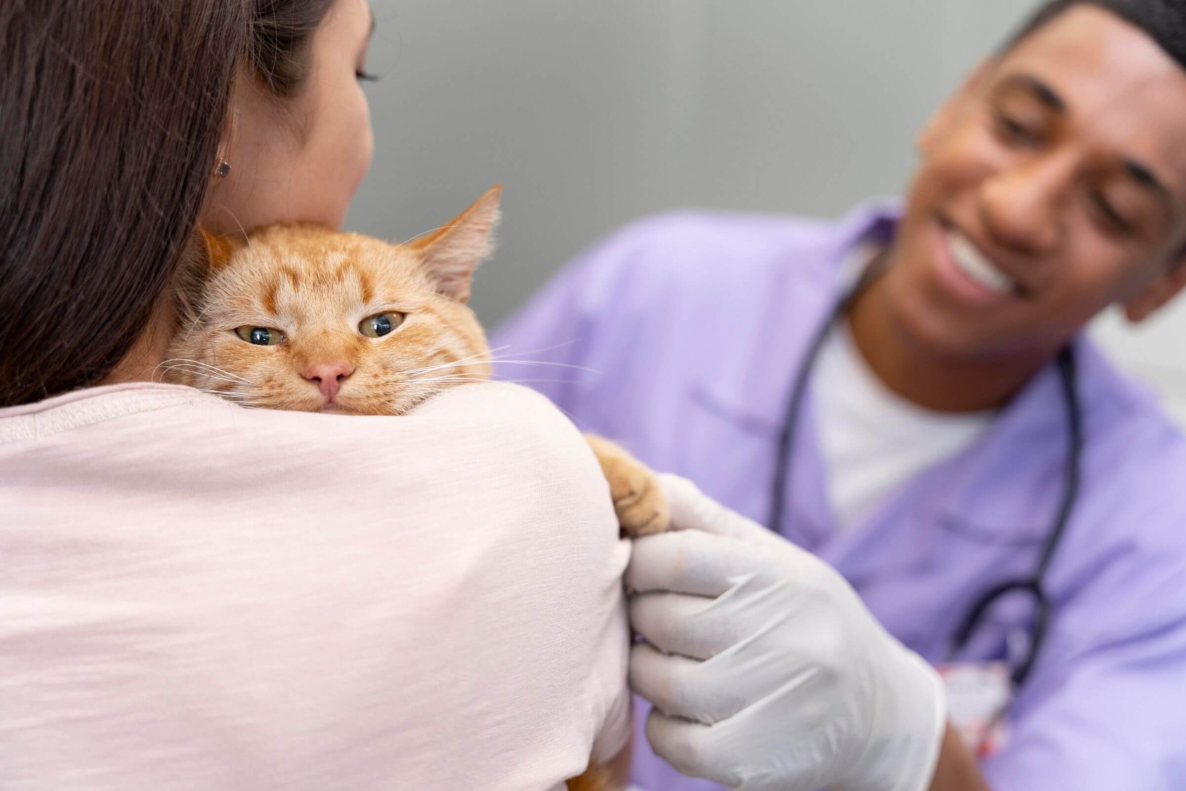 Microchip em pets: vale a pena?