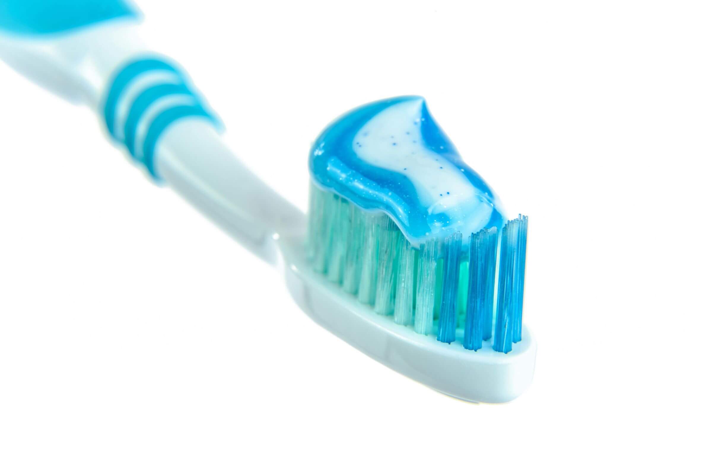 Posso escovar os dentes do meu pet com pasta de humanos? clínica veterinária 24h