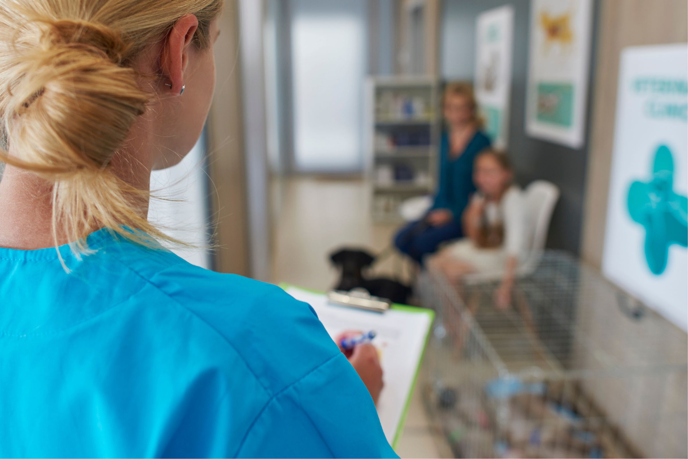 Internamento veterinário 24h: quando é necessário? clínica veterinária 24h