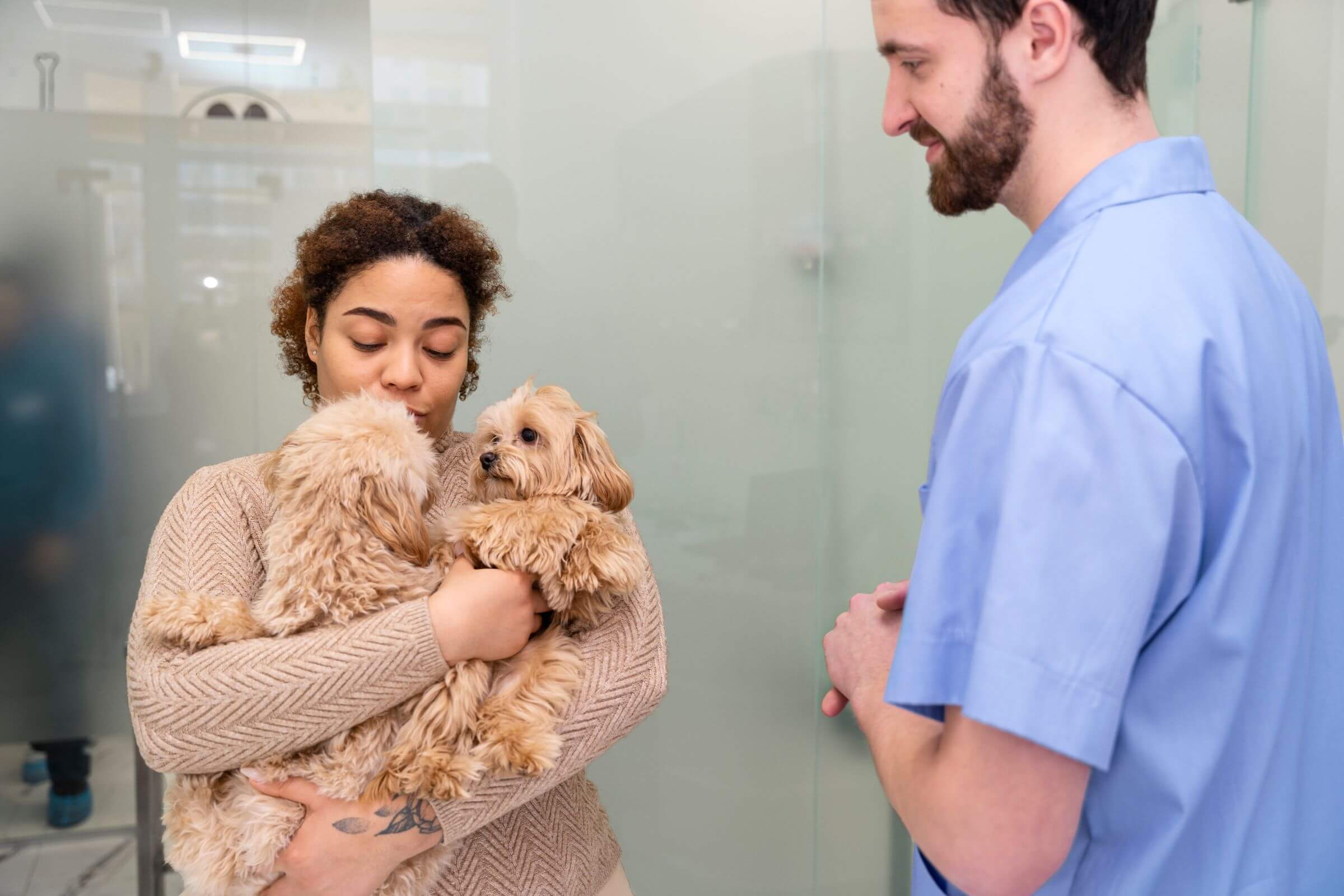 Quantas vezes por ano devo levar meu pet ao veterinário? clínica veterinária 24h