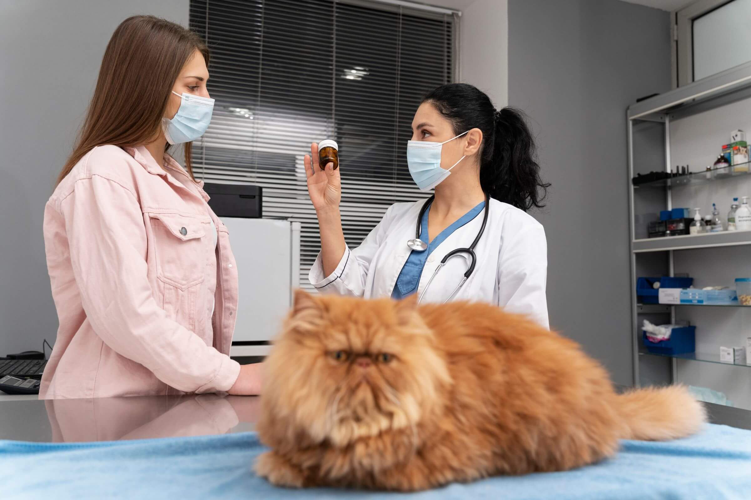 O que são vermes em cães e gatos? clínica veterinária 24h