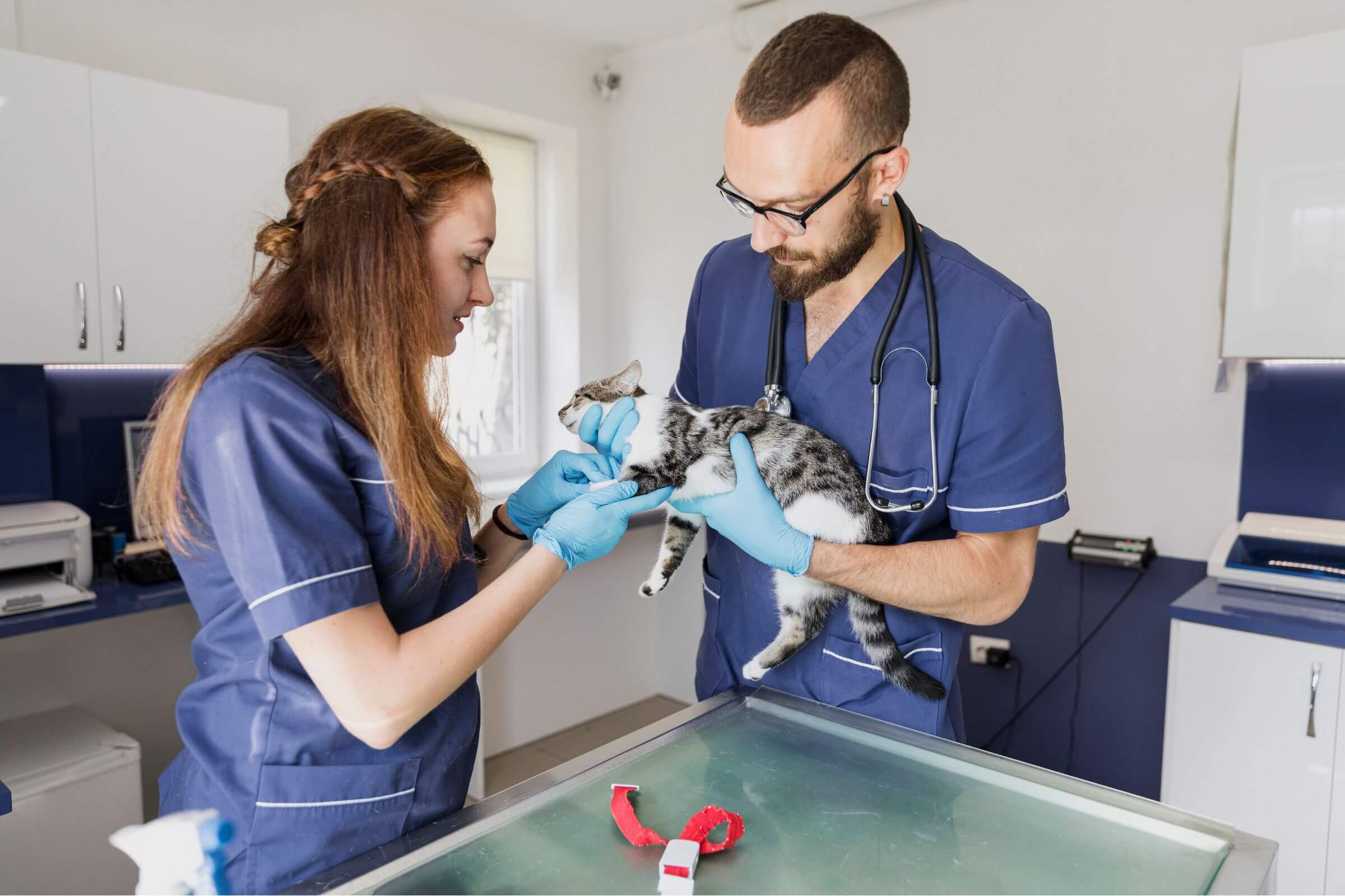 Quais sintomas indicam que meu pet precisa de atendimento urgente? clínica veterinária 24h