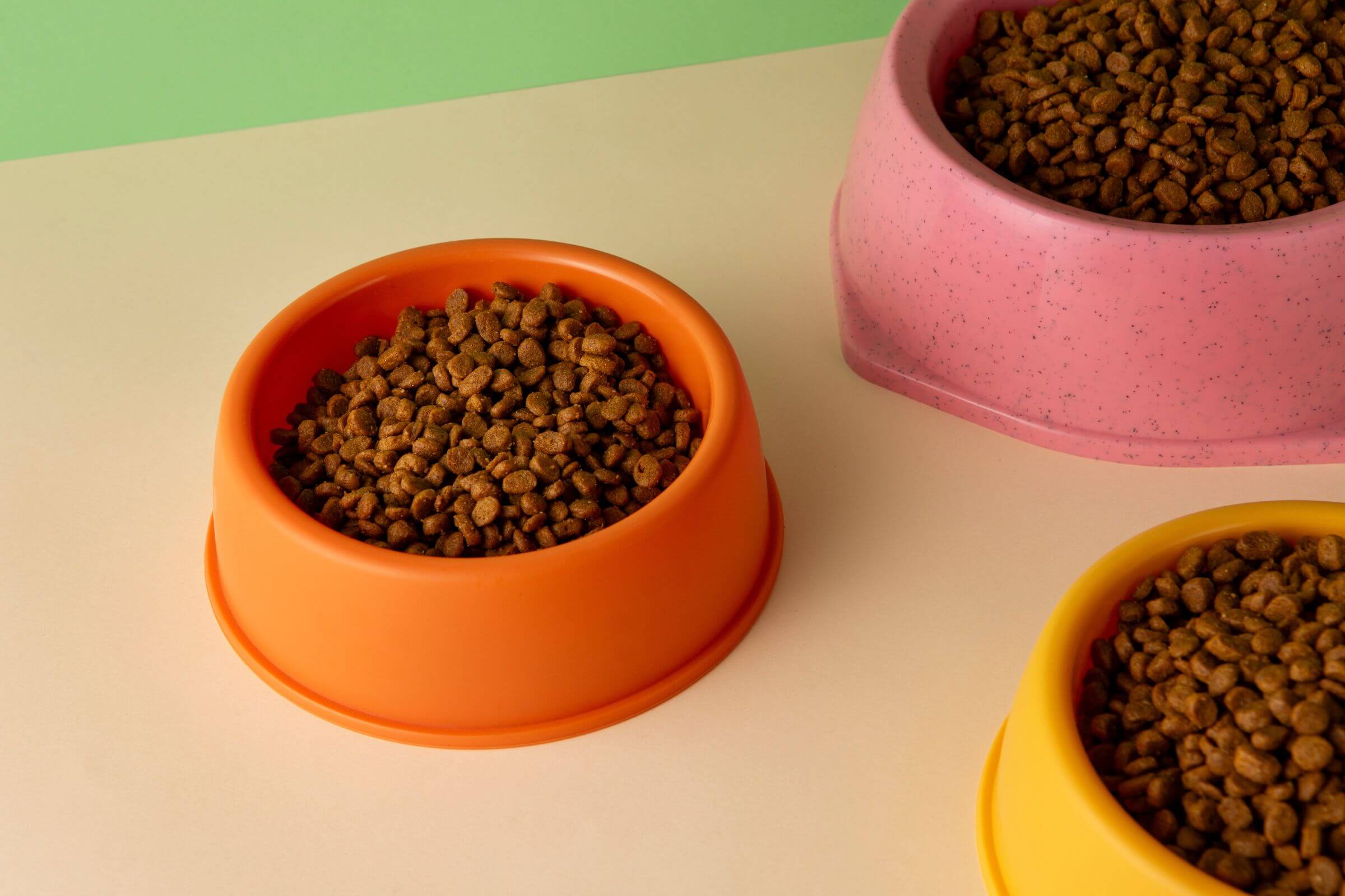 Quando devo trocar a ração do meu pet? clínica veterinária 24h