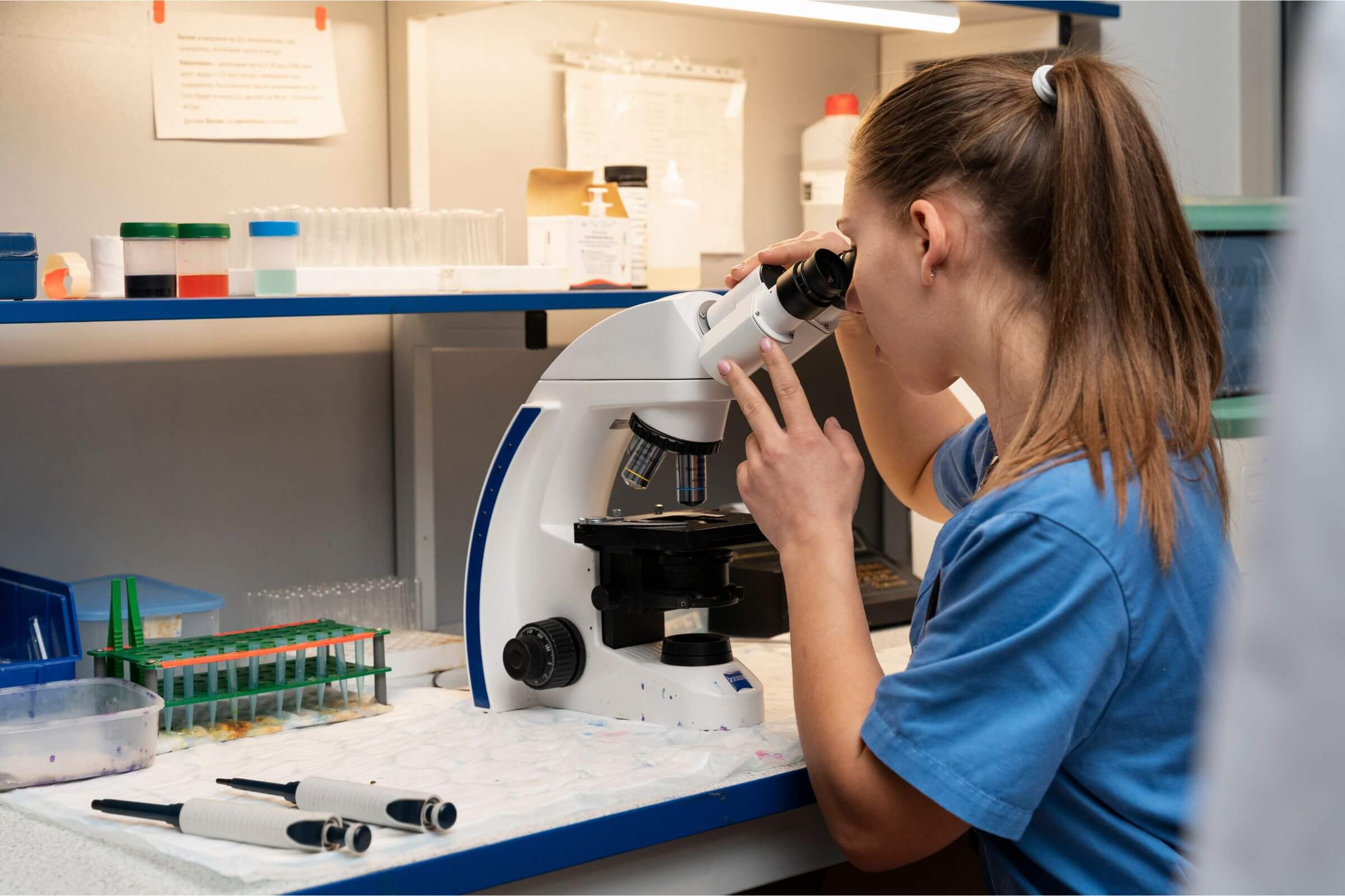 Exames laboratoriais rápidos: importância em emergências, clínica veterinária 24h