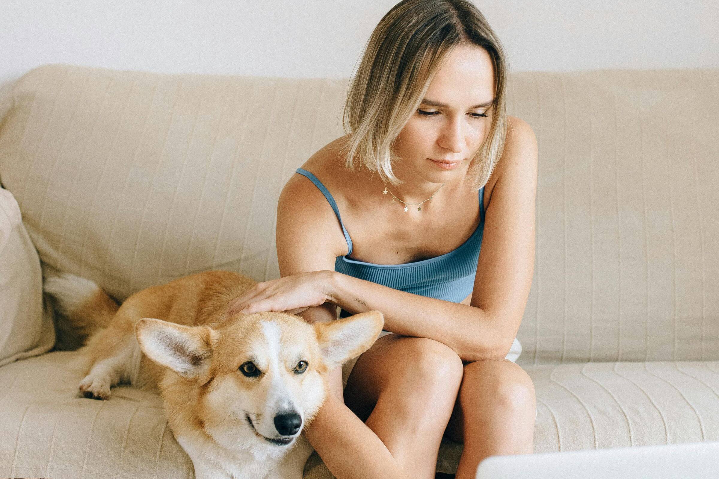 O que avaliar antes de confiar numa clínica veterinária? clínica veterinária 24h