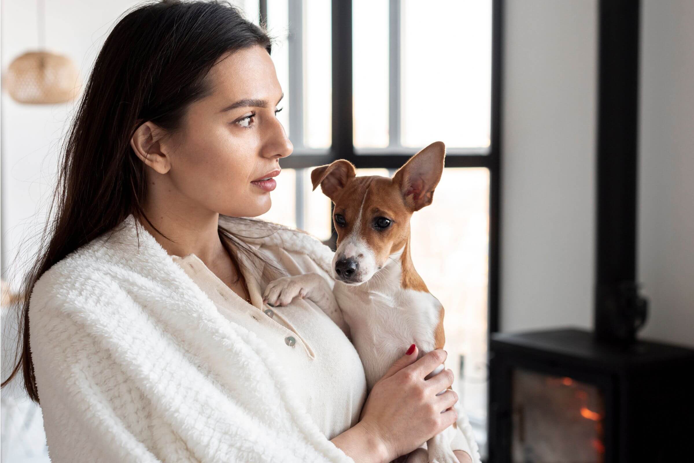 Clínica veterinária perto de mim: vale a pena escolher pela localização? clínica veterinária 24h