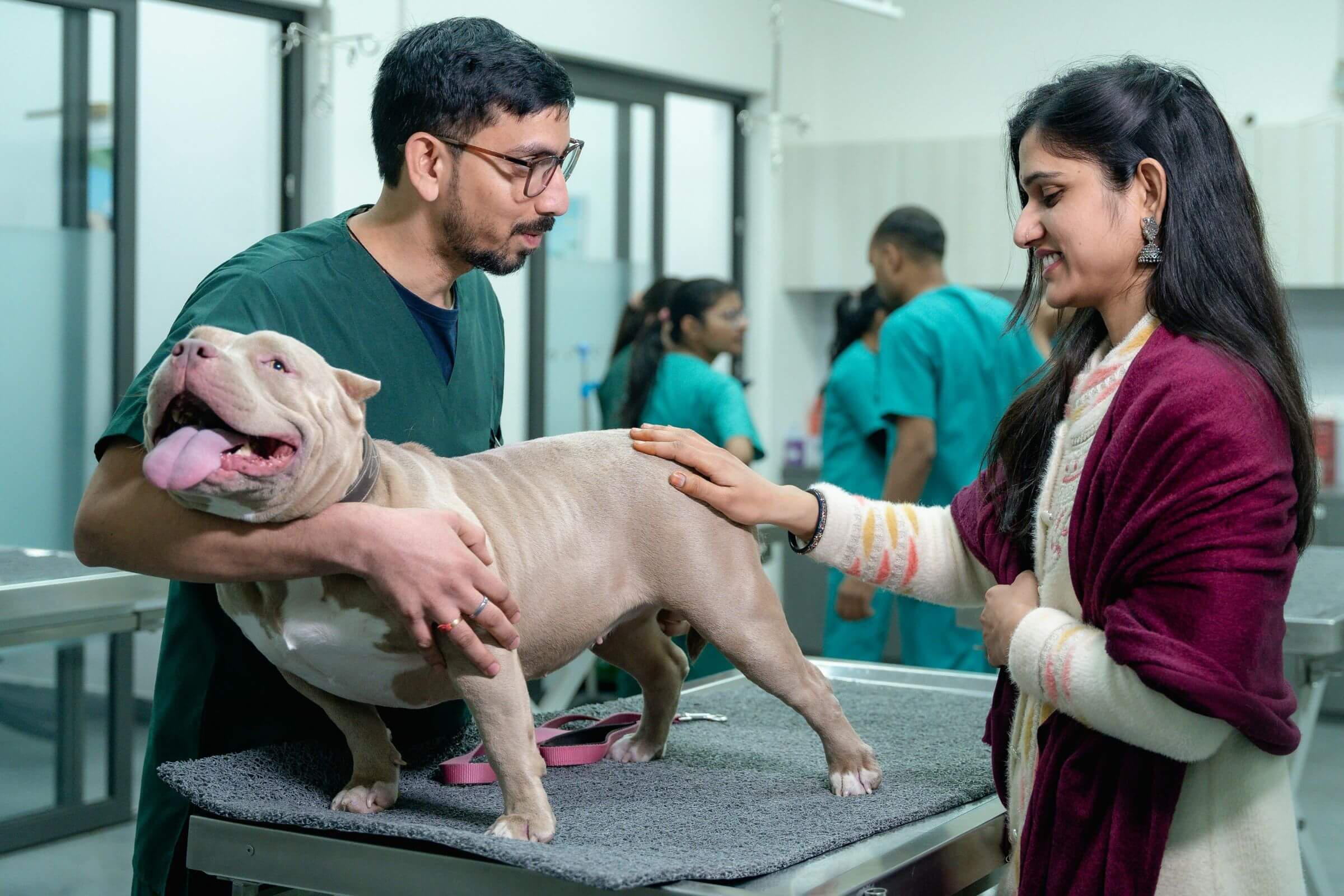 O que esperar do atendimento numa clínica veterinária 24h? clínica veterinária 24h