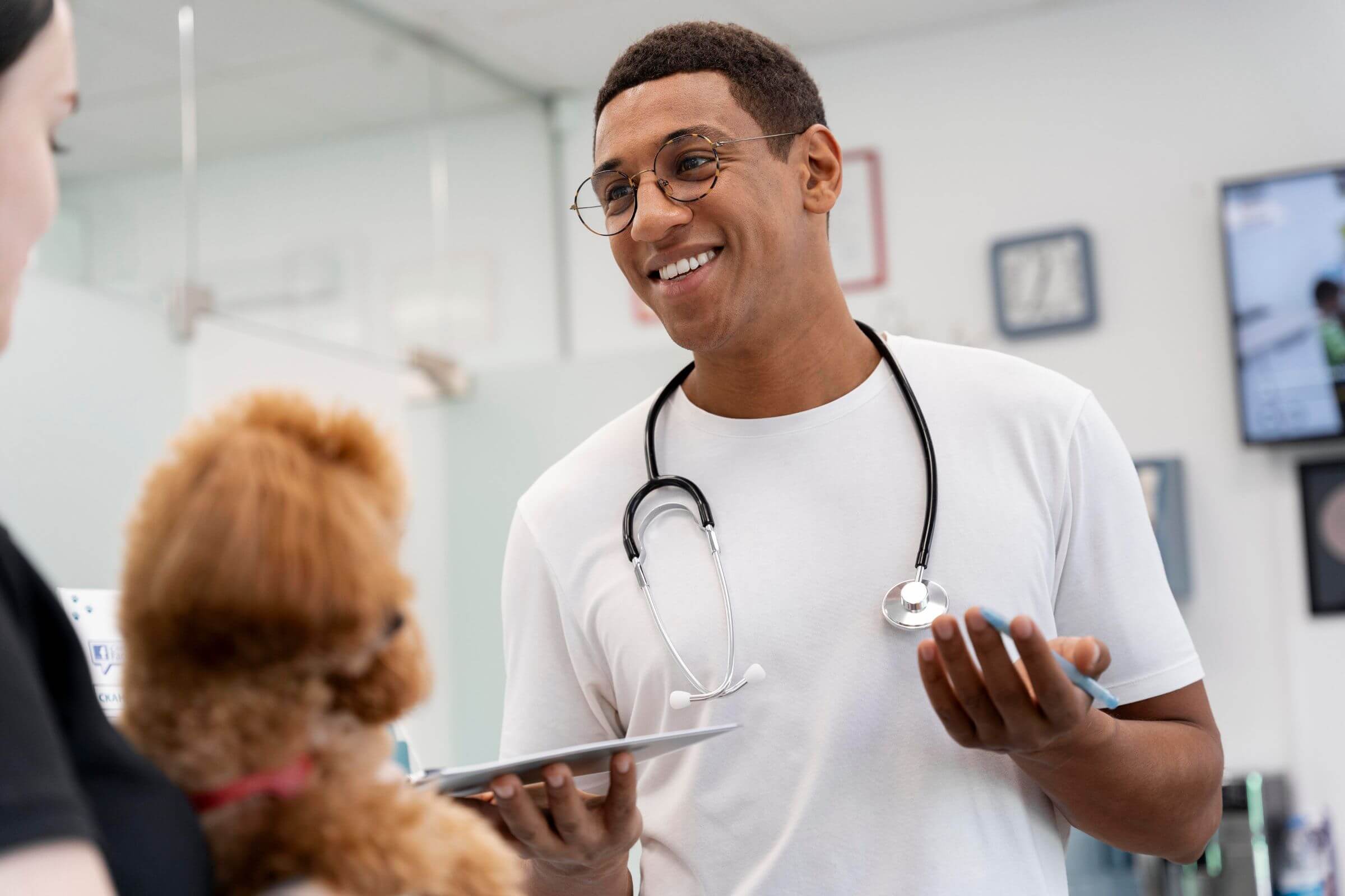 O guia definitivo para entender orçamento veterinário, clínica veterinária 24h