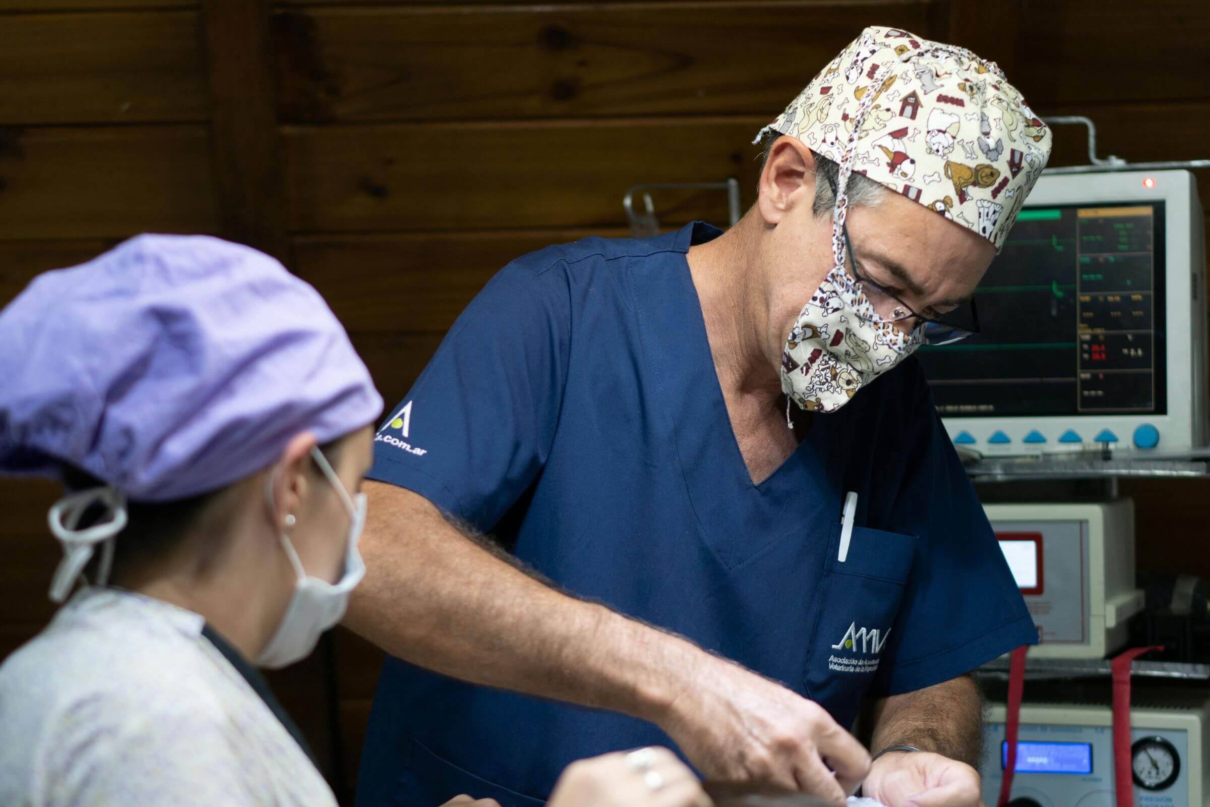 O que é suporte avançado de vida em veterinária, clínica veterinária 24h