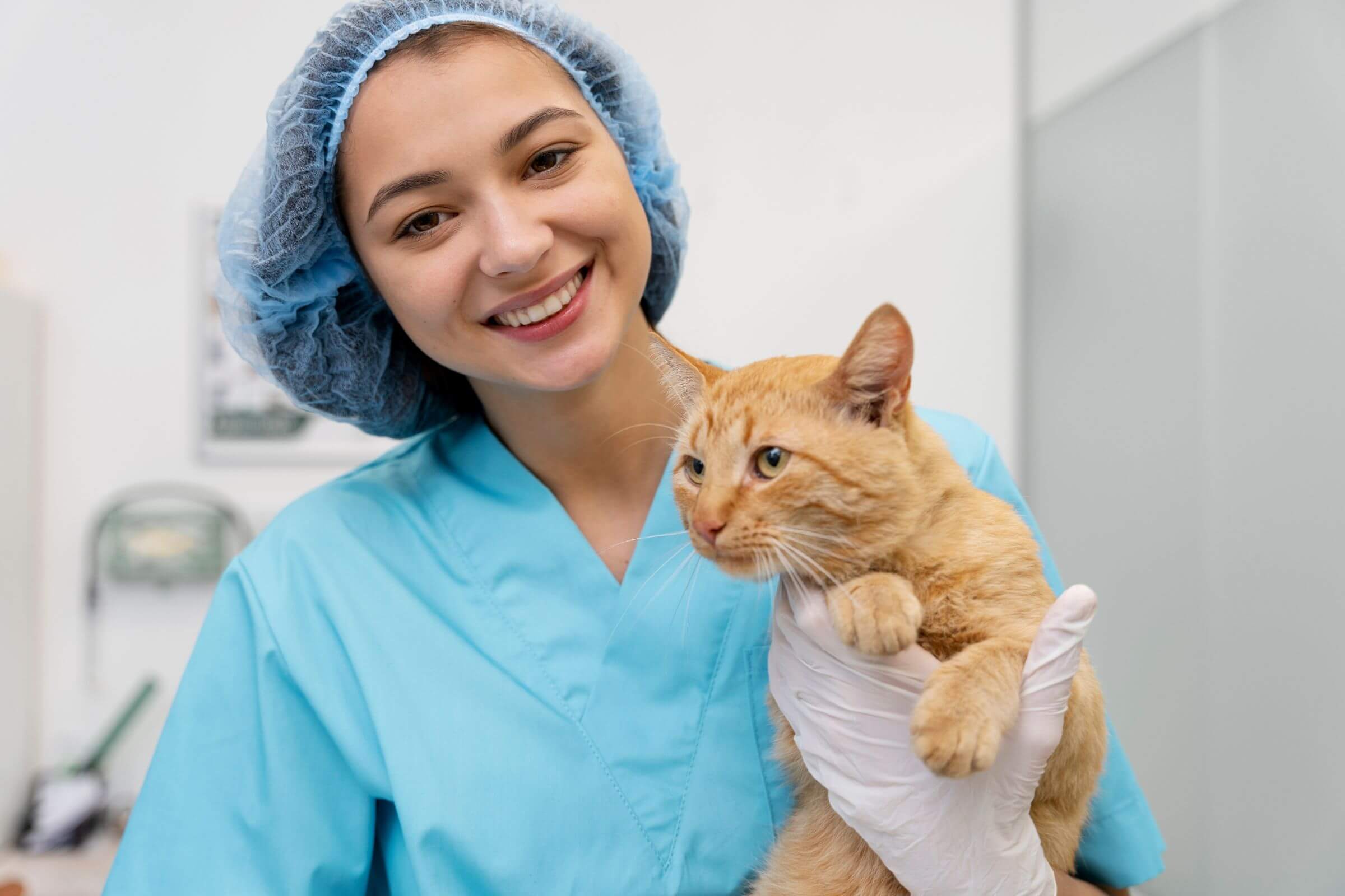 Pets que surpreenderam e se recuperaram mais rápido que o previsto, clínica veterinária 24h