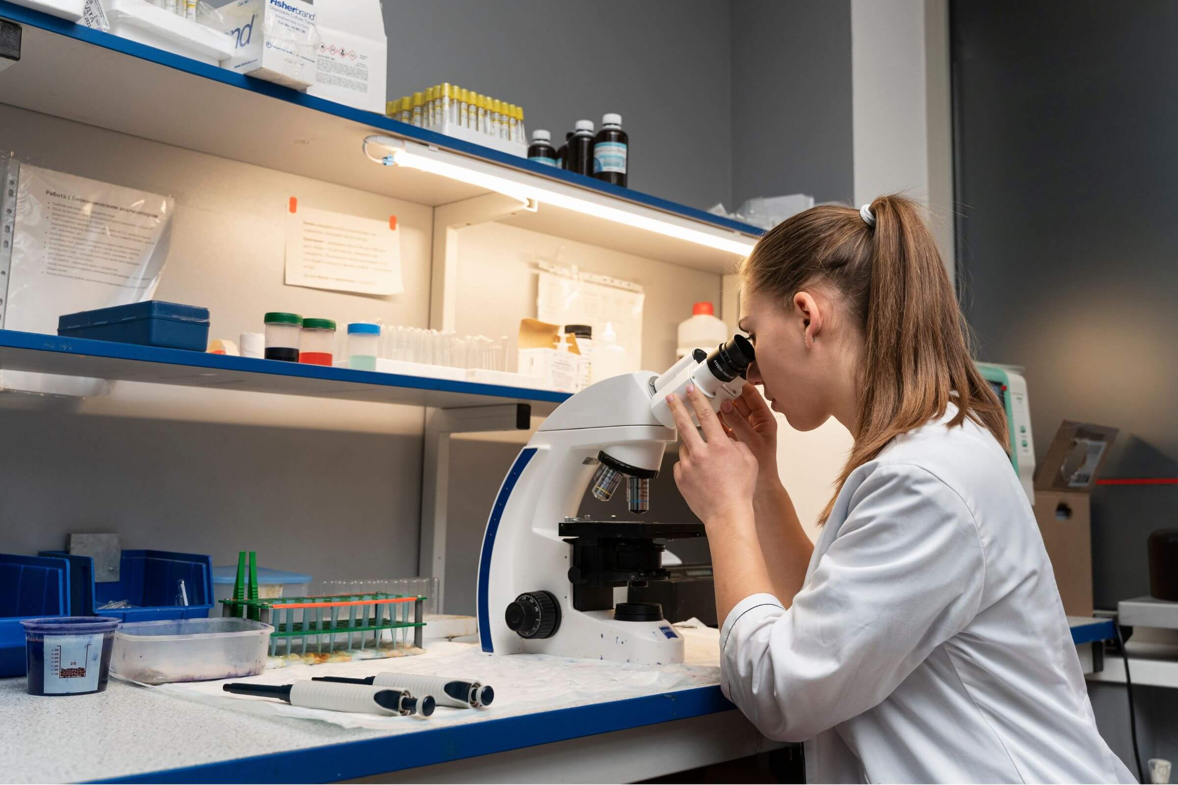 Por que hospitais veterinários precisam de laboratório próprio, clínica veterinária 24h