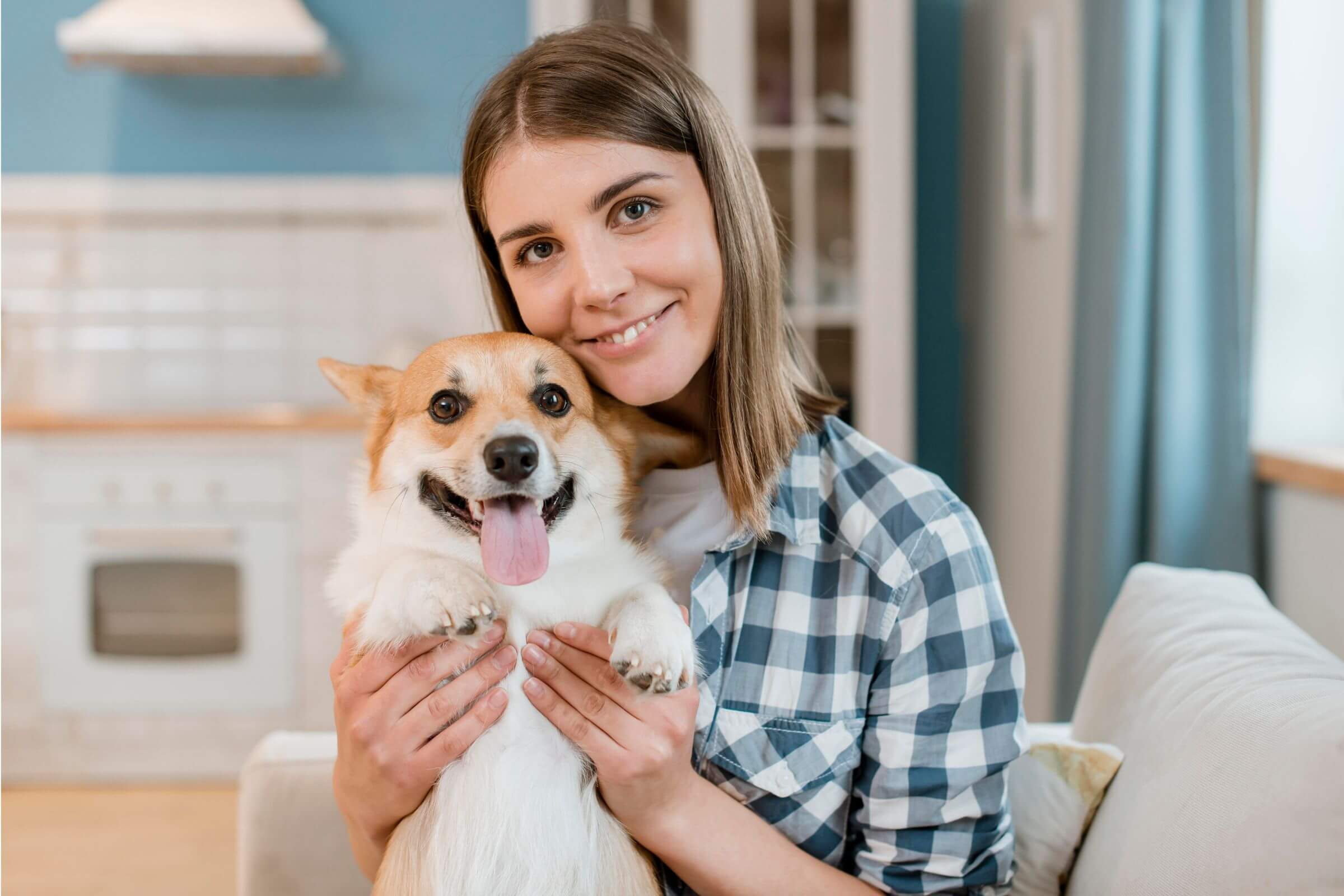Cuidados com pets em apartamentos de Maringá, clínica veterinária 24h