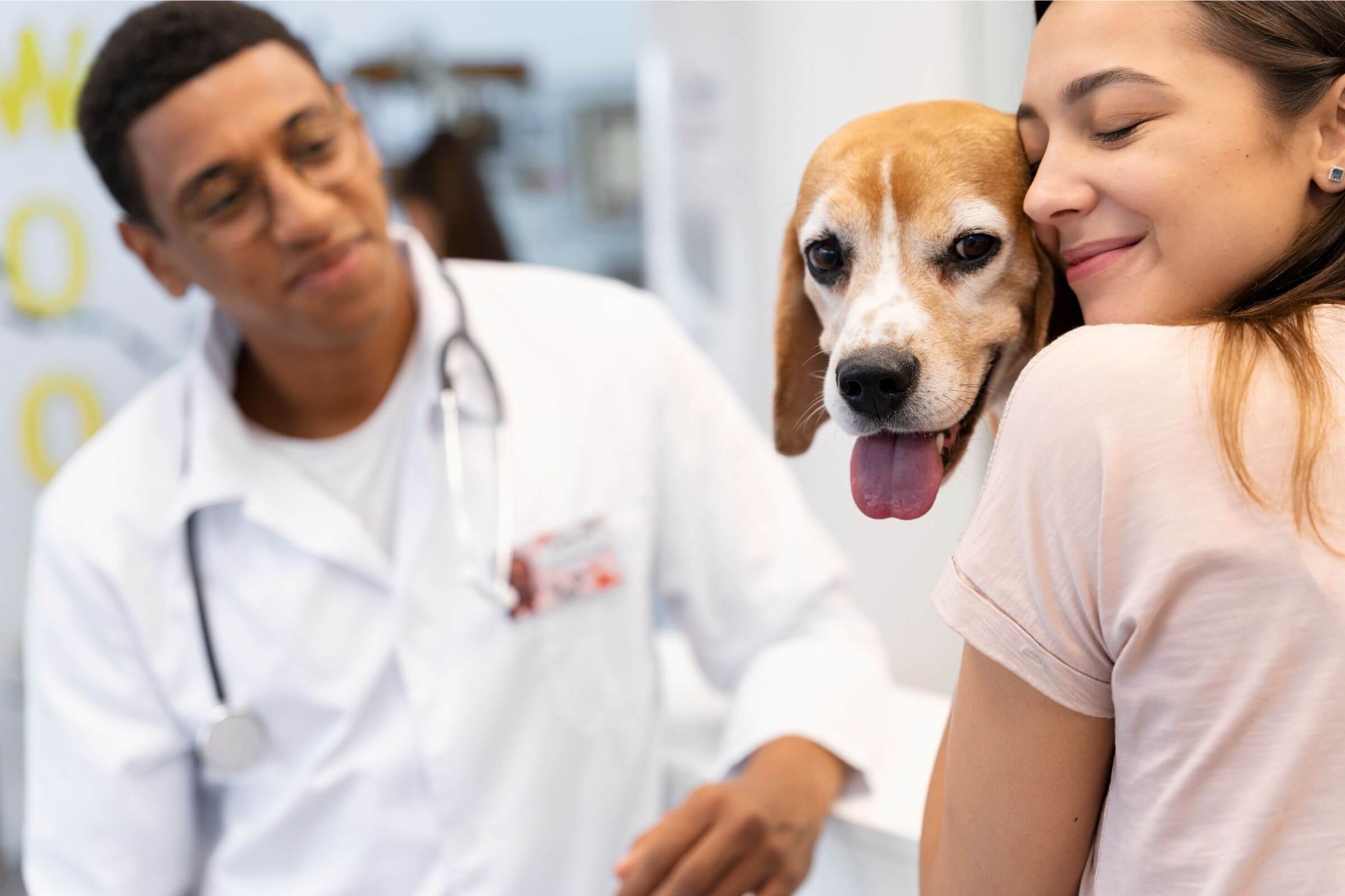 Histórias de pets que chegaram sem esperança e venceram, clínica veterinária 24h