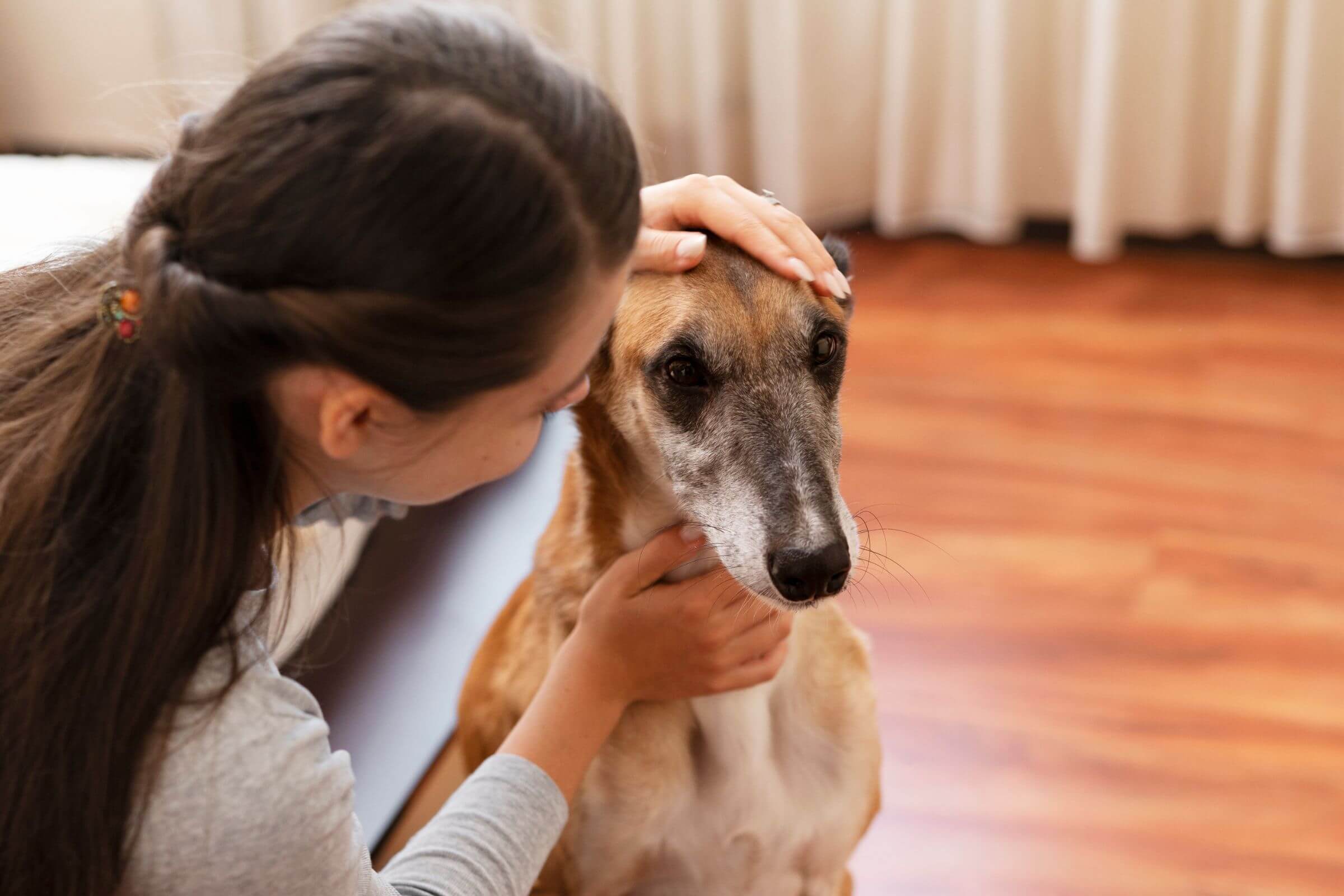 Como agir quando o pet está com dificuldade de respirar, clínica veterinária 24h