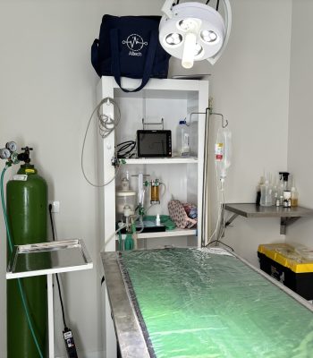 Centro-cirurgico-veterinario-em-maringa-scaled.jpg