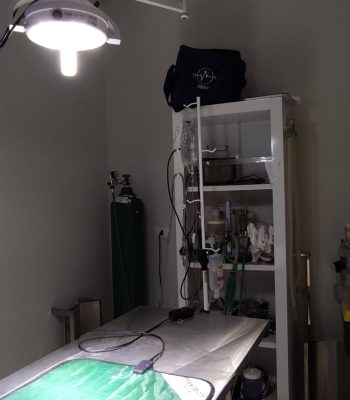 GPS-Sala-de-cirurgia-VetoPet-Clinica-Veterinaria-24h-em-Maringa.jpg