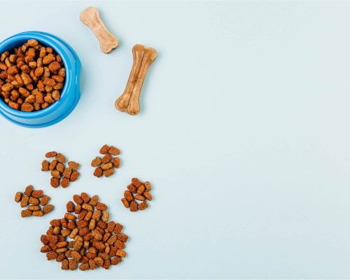 Alimentação para pets com doença cardíaca, clínica veterinária 24h