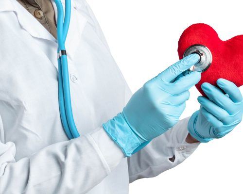 Quais exames meu pet cardíaco deve fazer regularmente? clínica veterinária 24h