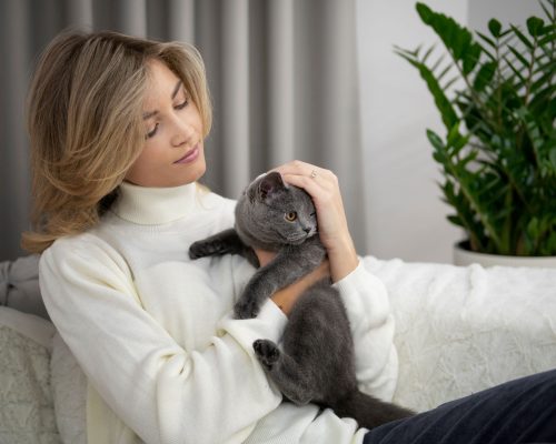 Gato que não sai de casa precisa vacinar? clínica veterinária 24h