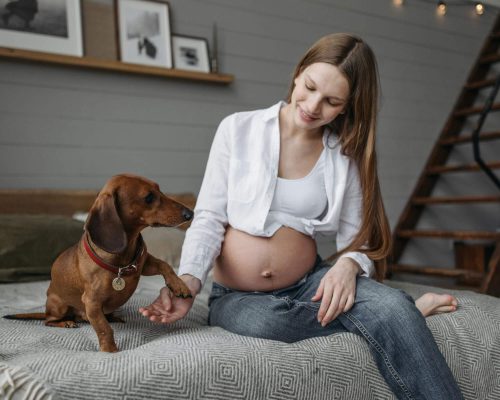 Como preparar o pet para a chegada de um bebê, clínica veterinária 24h