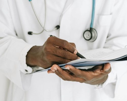 PET com creatinina alta: o que significa? clínica veterinária 24h